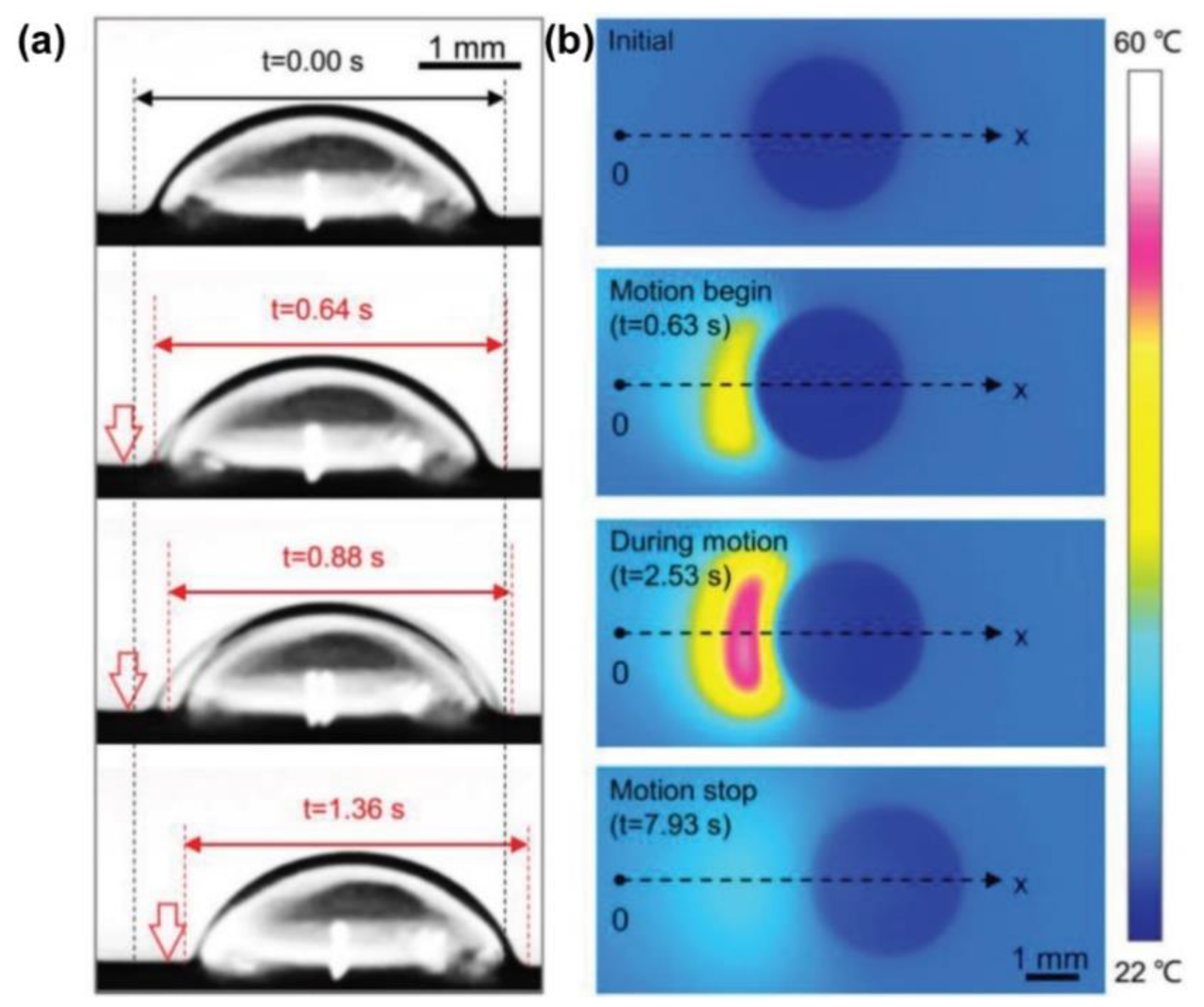 Nanomaterials 11 00801 g010