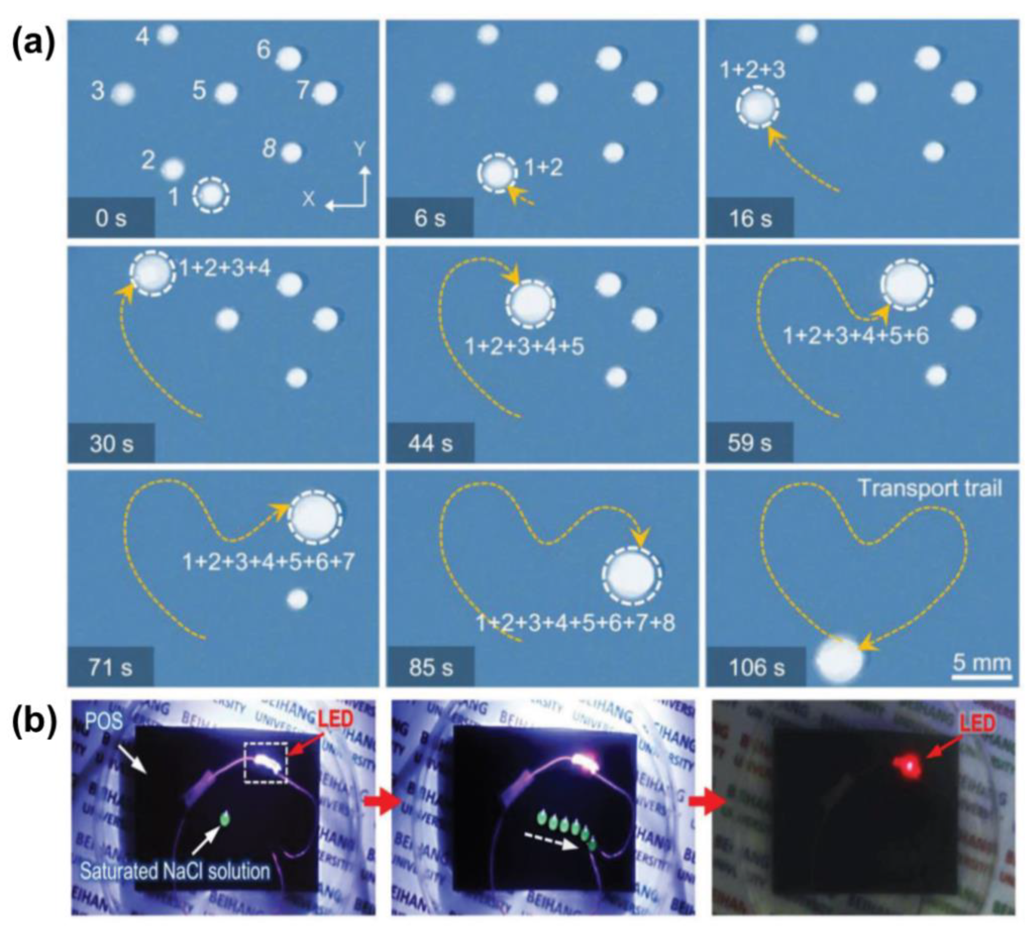 Nanomaterials 11 00801 g011