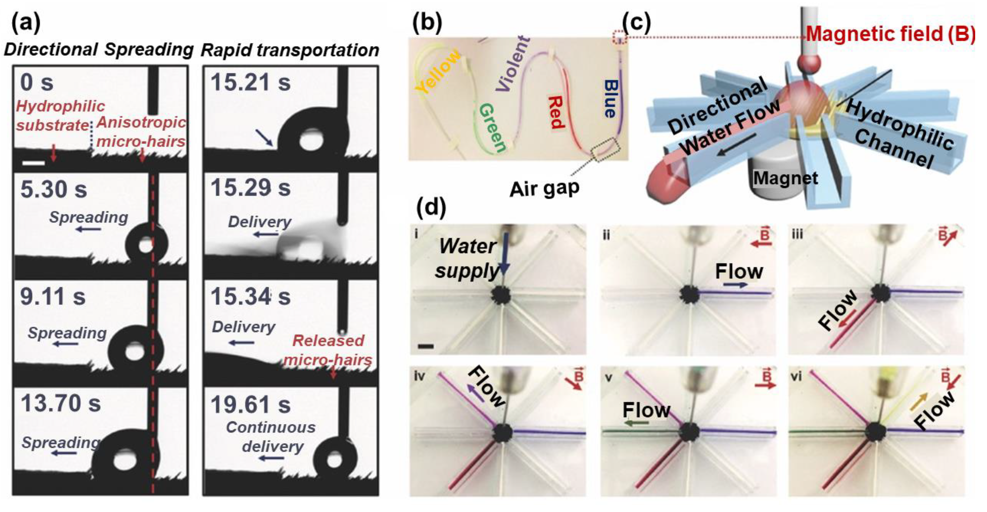 Nanomaterials 11 00801 g013