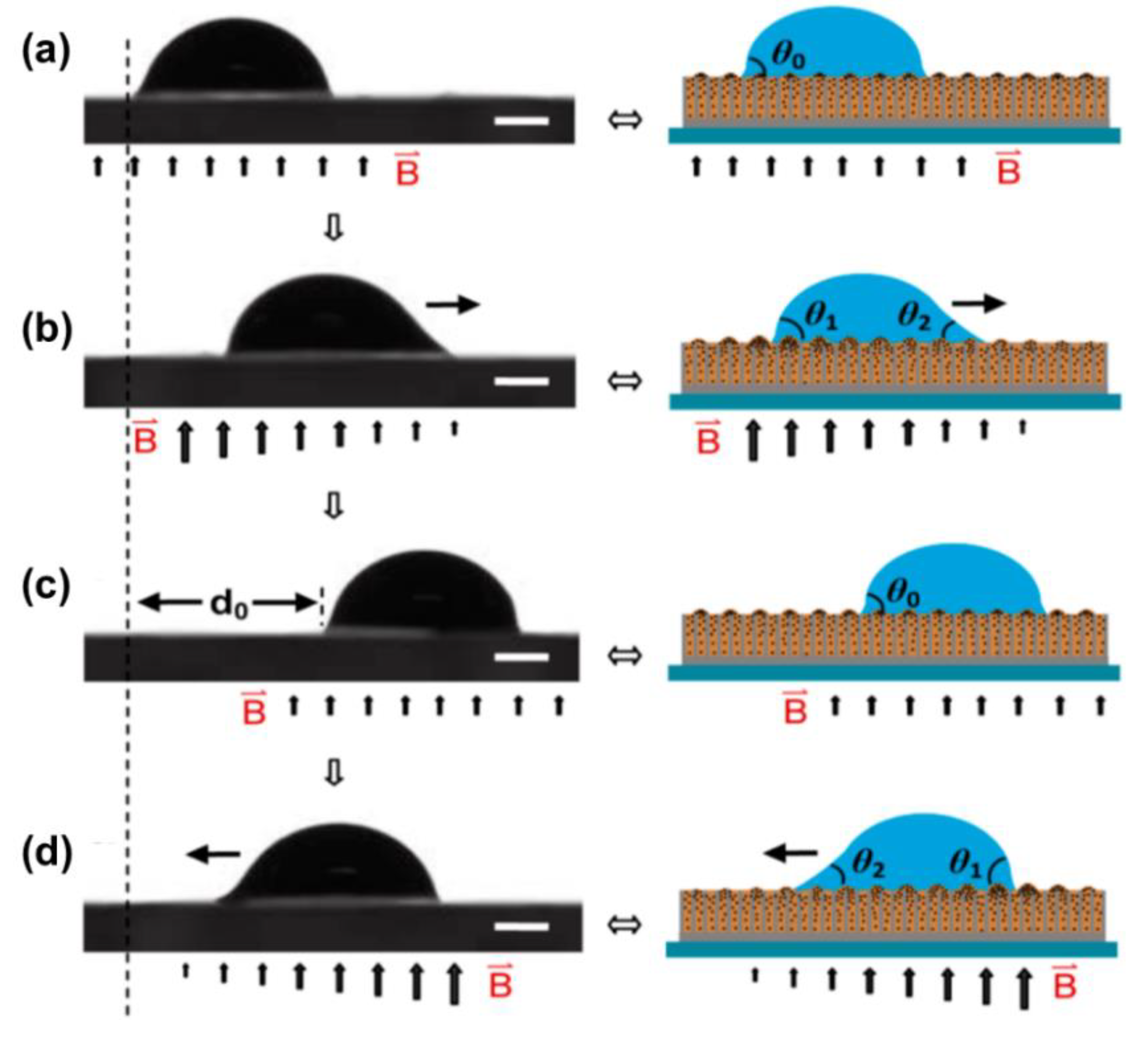 Nanomaterials 11 00801 g014