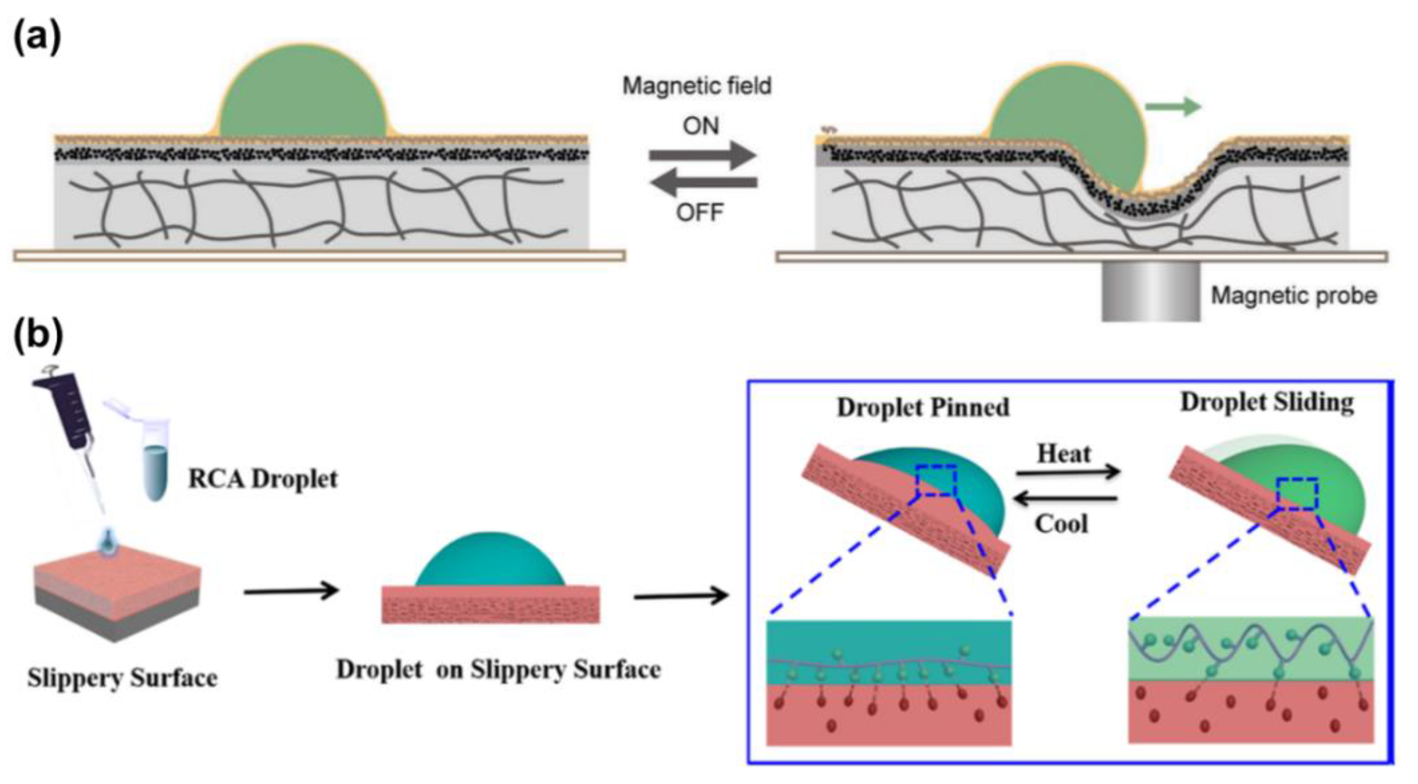 Nanomaterials 11 00801 g015