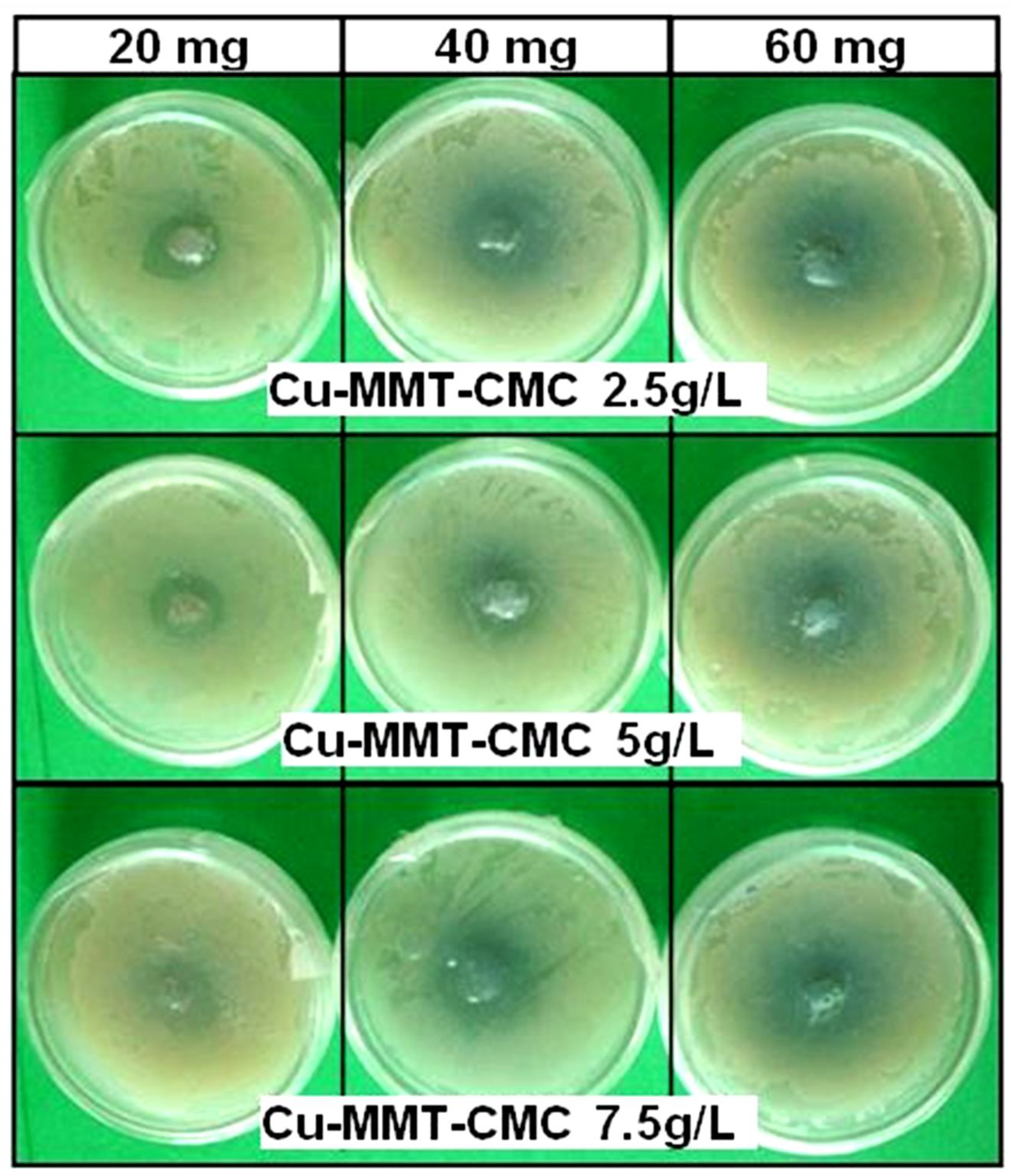 Nanomaterials 11 00802 g007