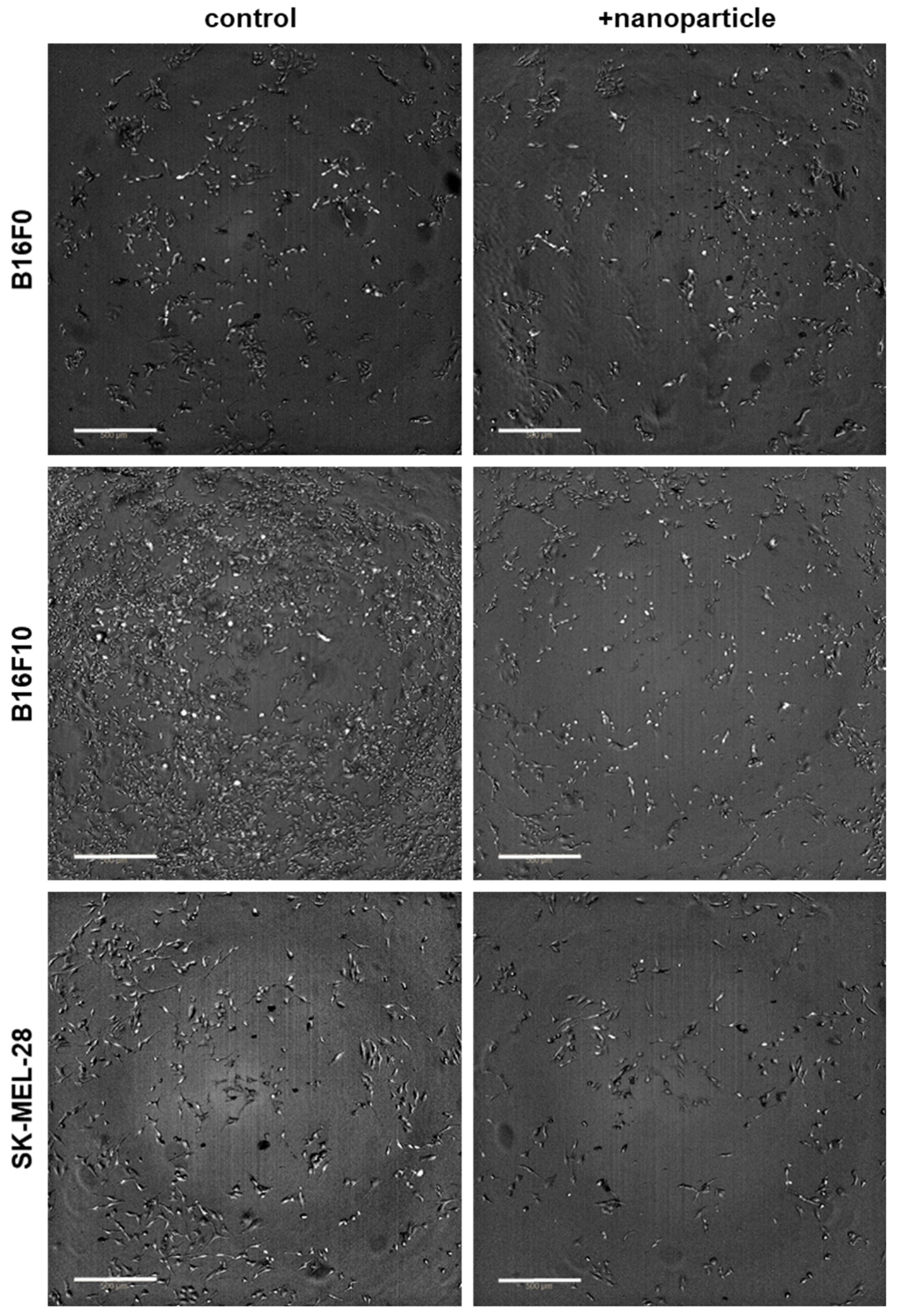 Nanomaterials 11 00806 g001