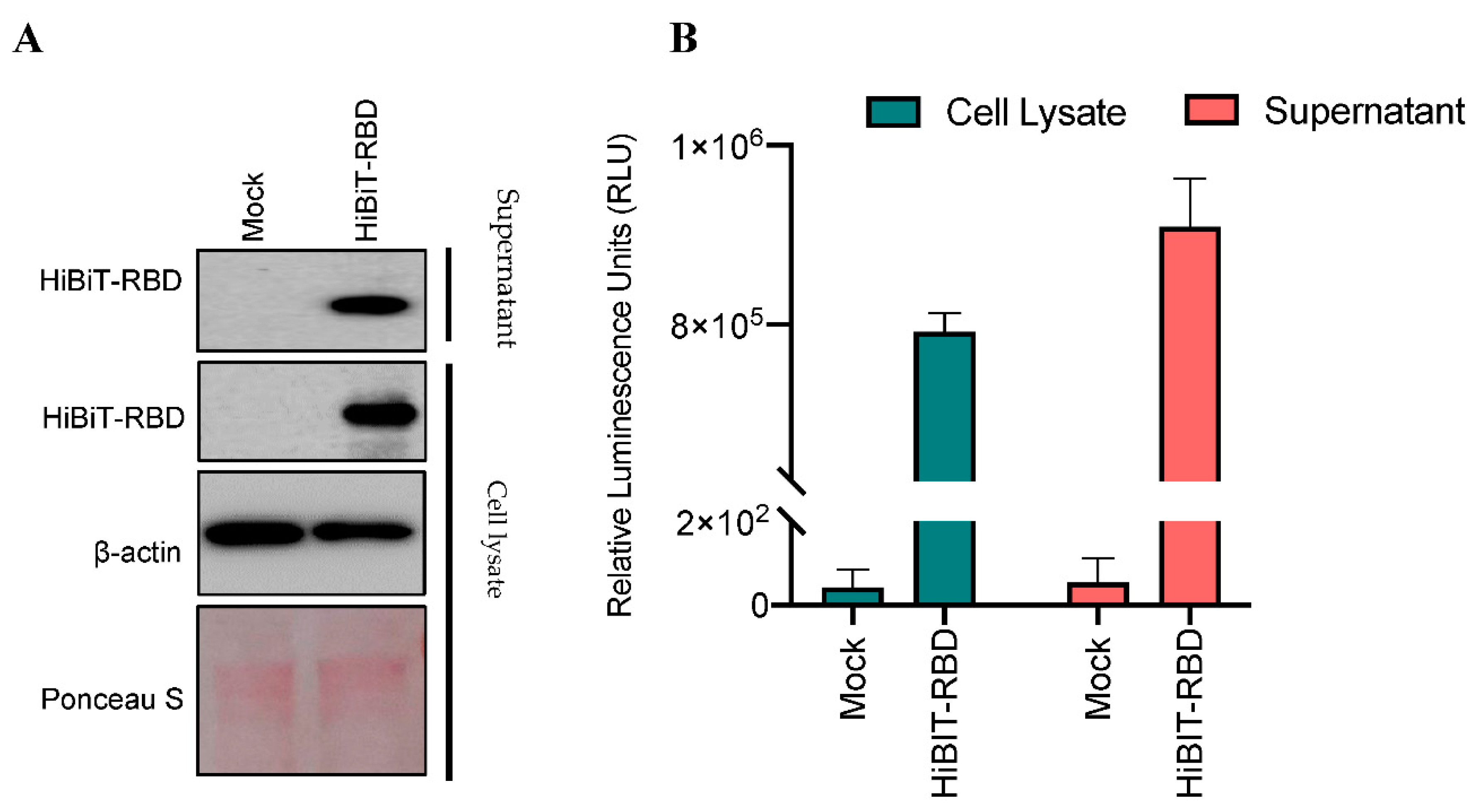 Nanomaterials 11 00807 g002