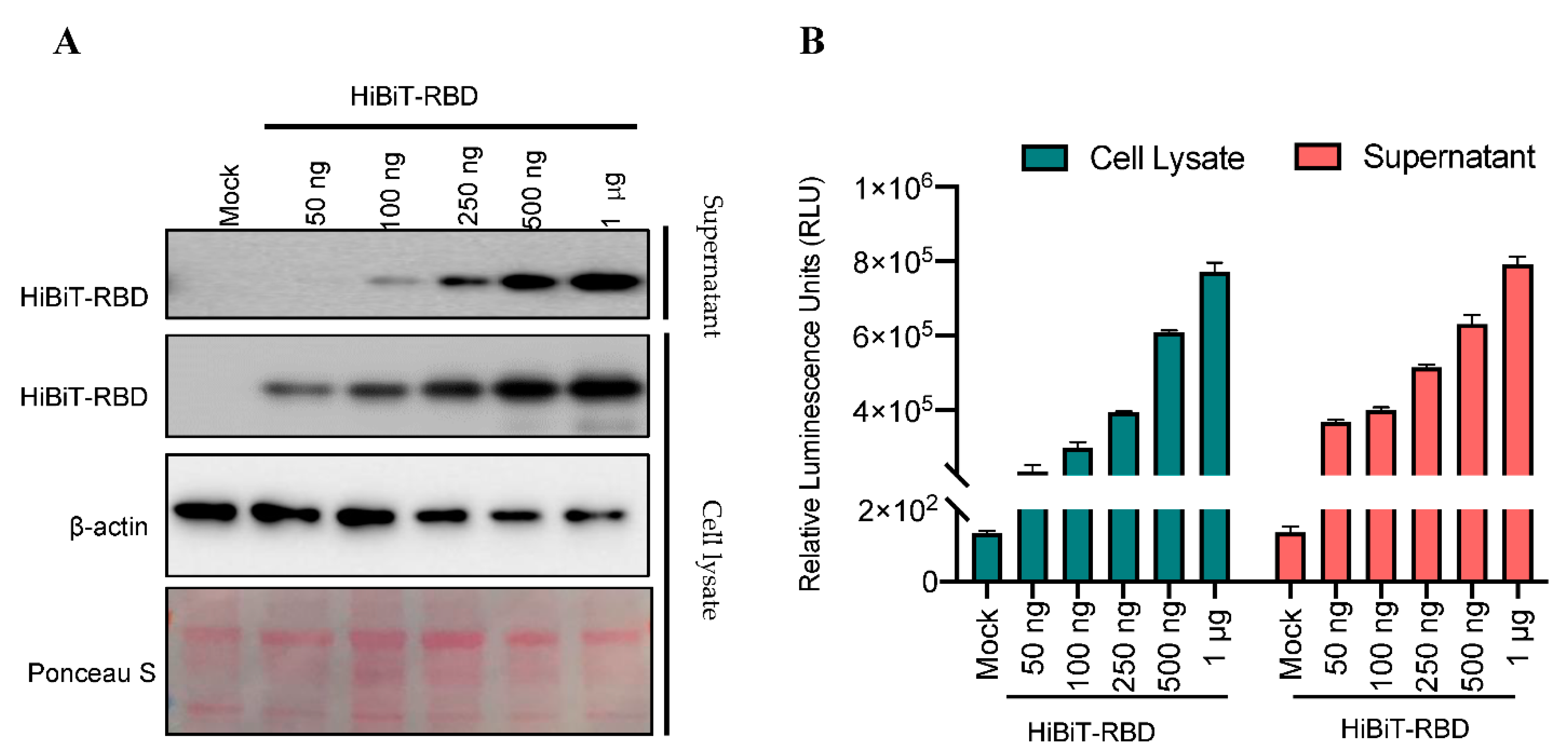 Nanomaterials 11 00807 g003