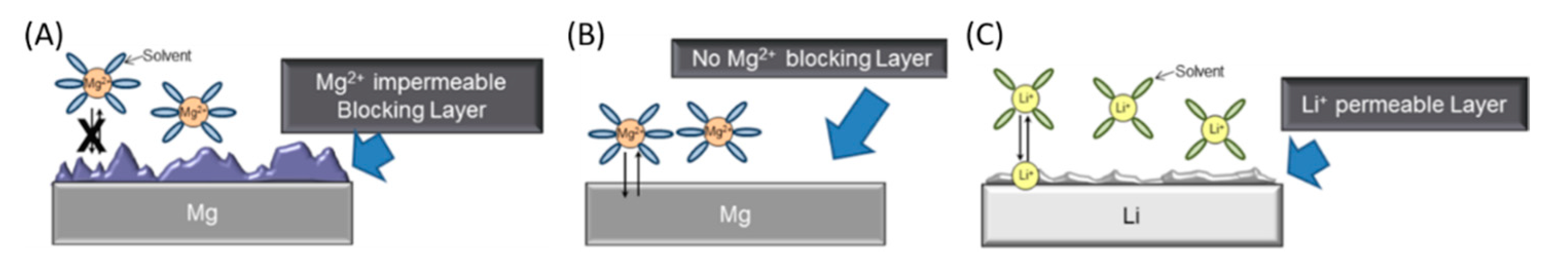 Nanomaterials 11 00810 g005