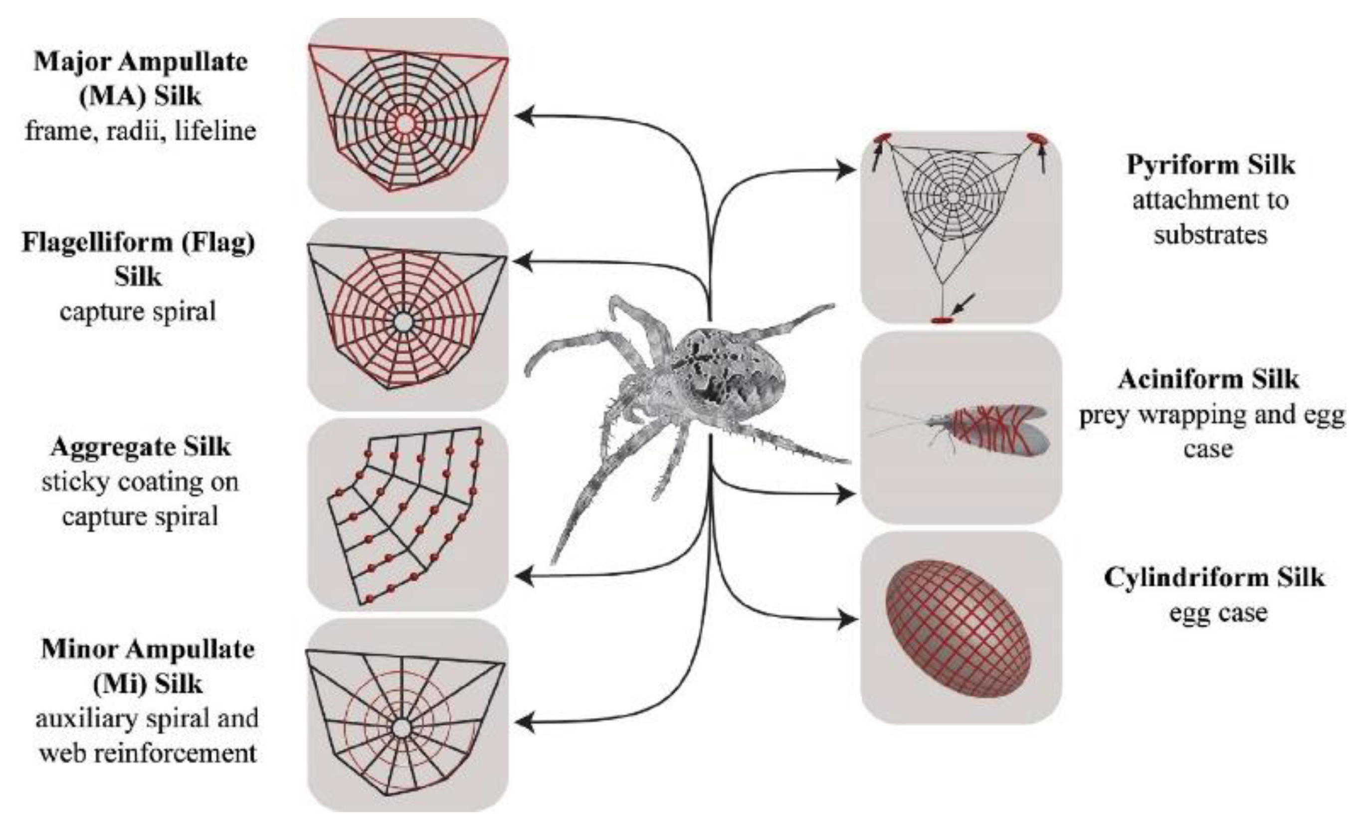 Nanomaterials 11 00813 g004