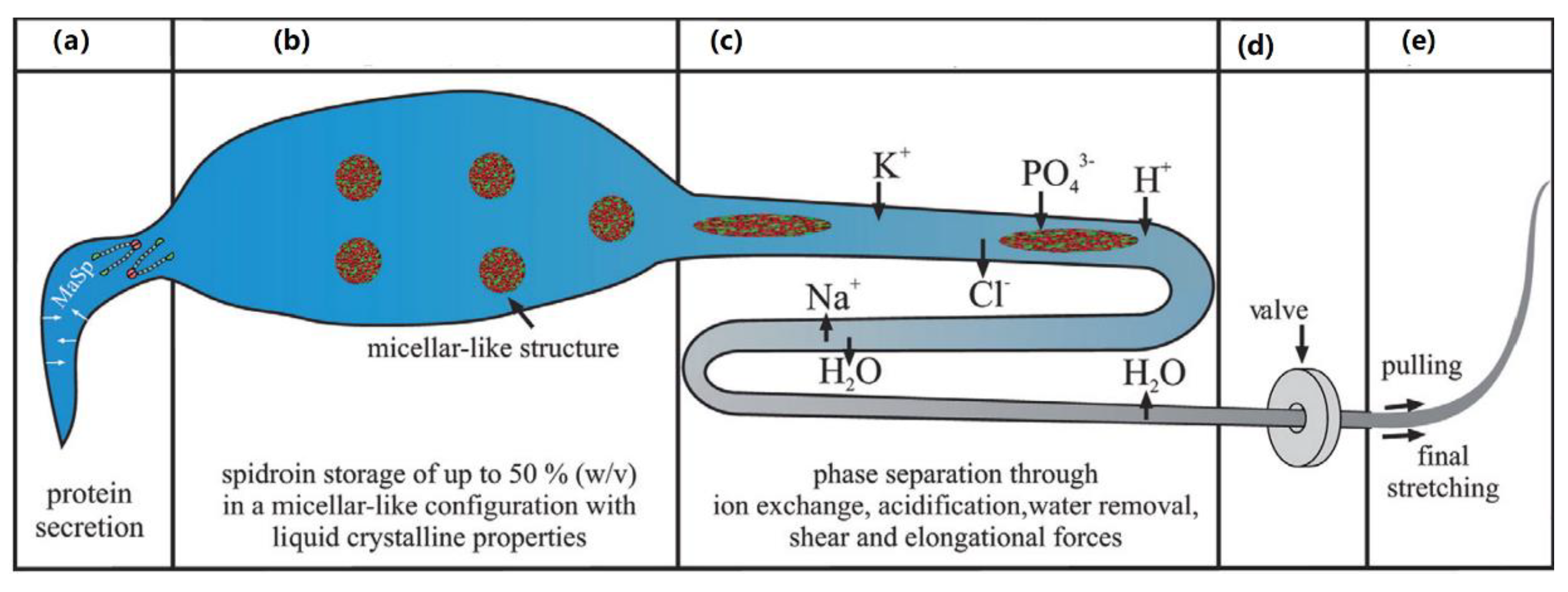 Nanomaterials 11 00813 g005
