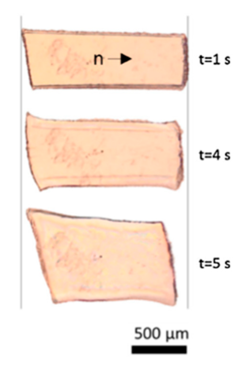 Nanomaterials 11 00813 g009