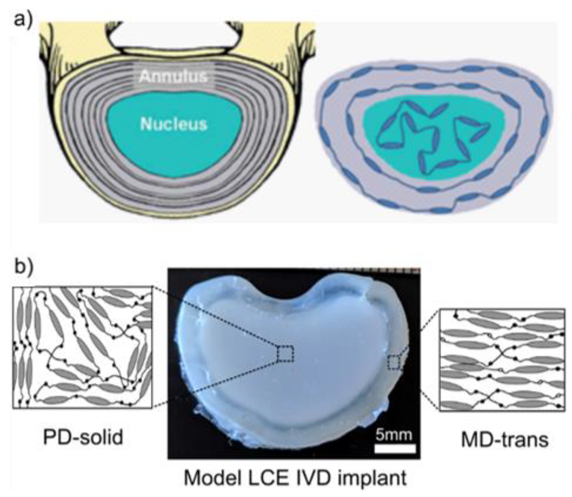 Nanomaterials 11 00813 g010