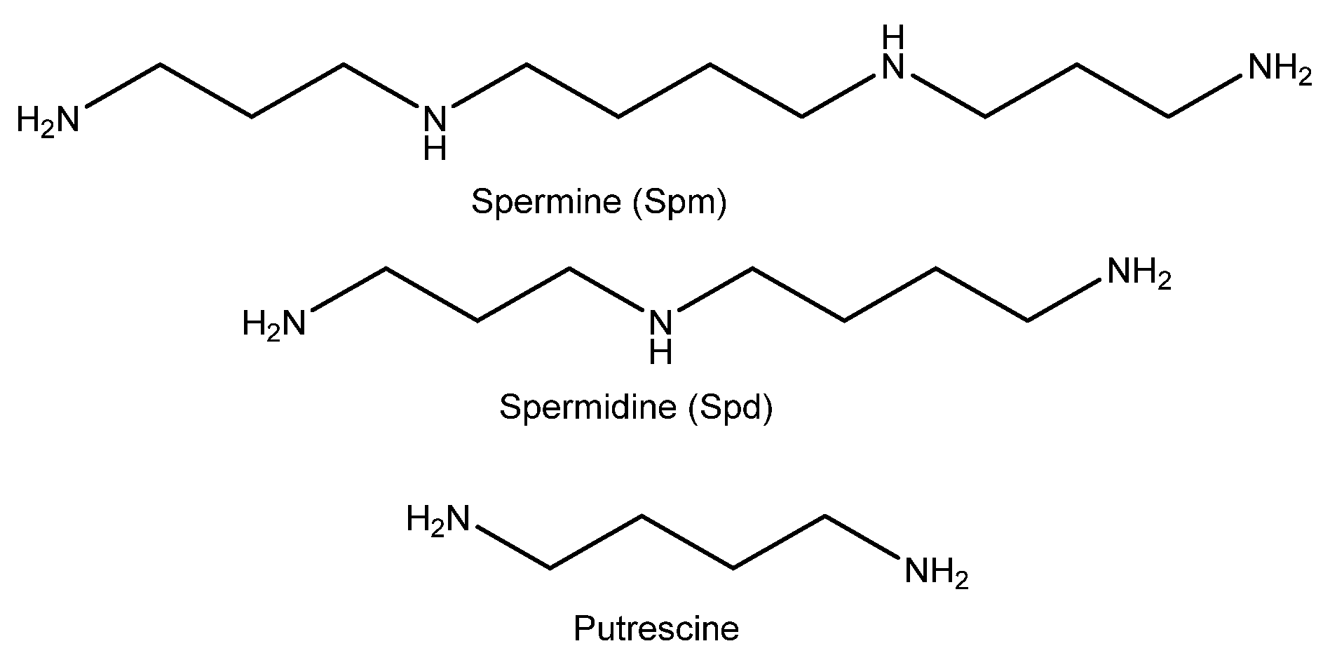 Nanomaterials 11 00818 g001