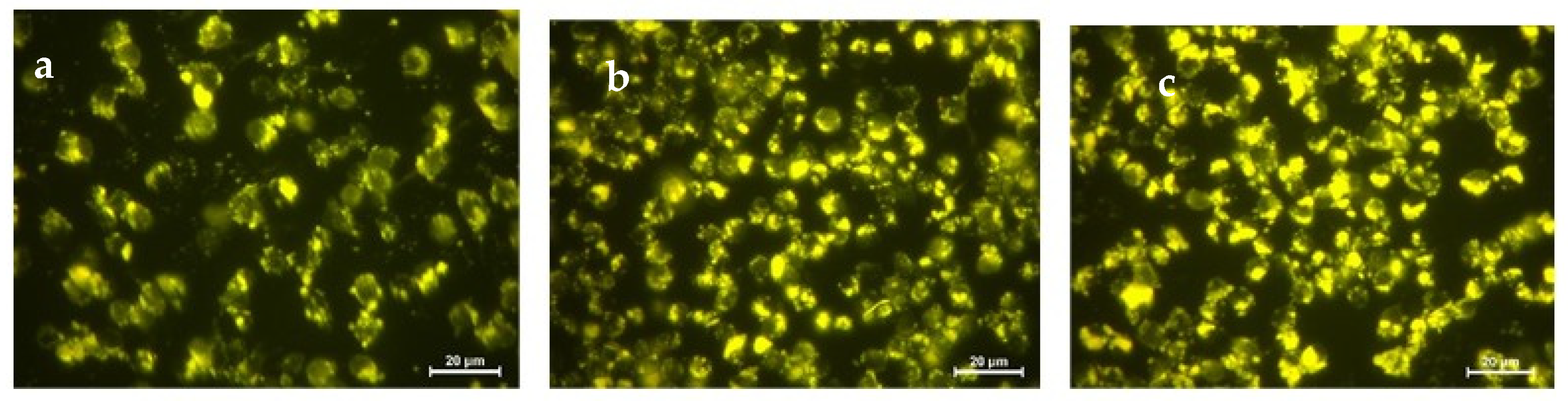 Nanomaterials 11 00818 g007