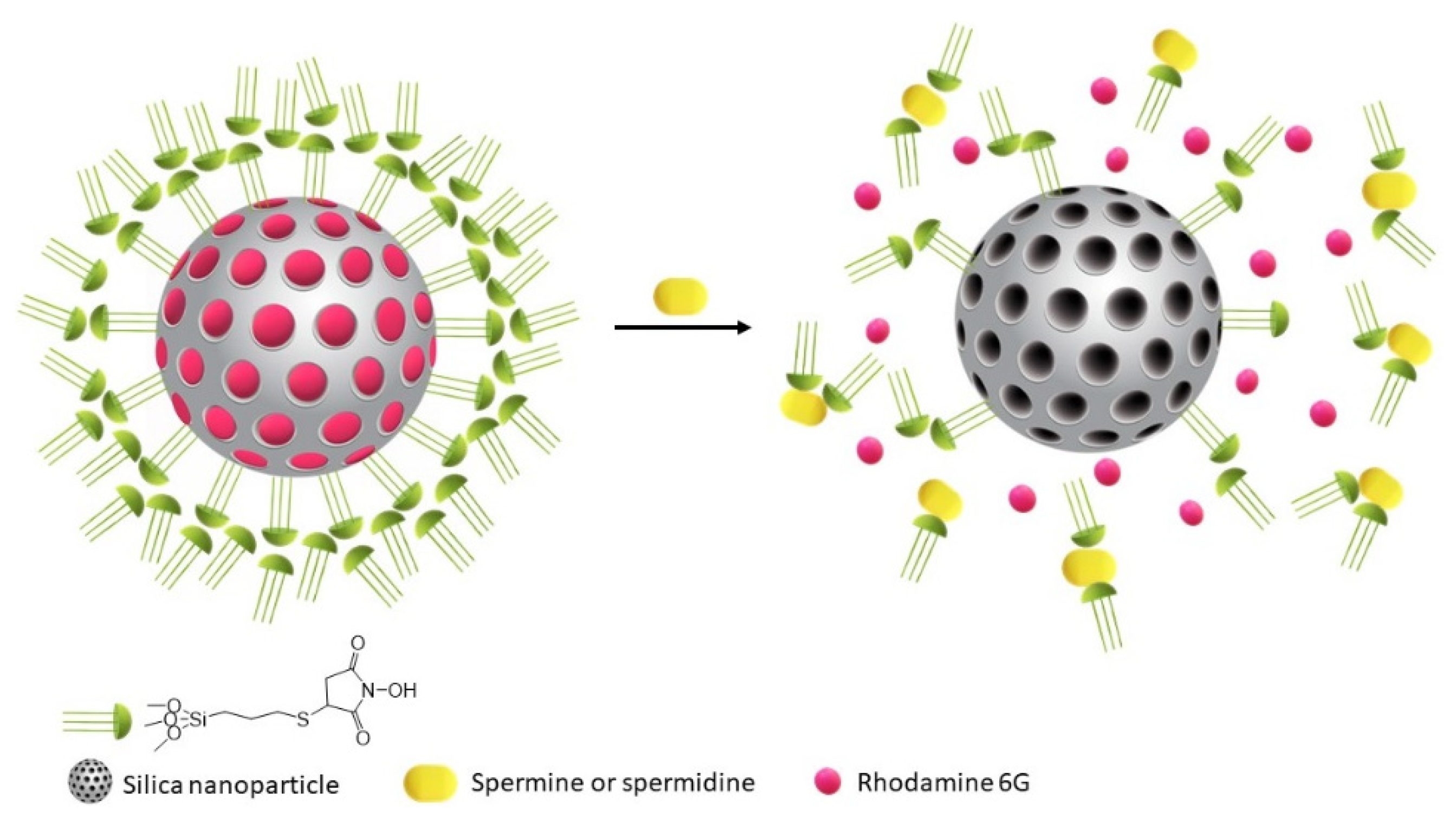 Nanomaterials 11 00818 sch001