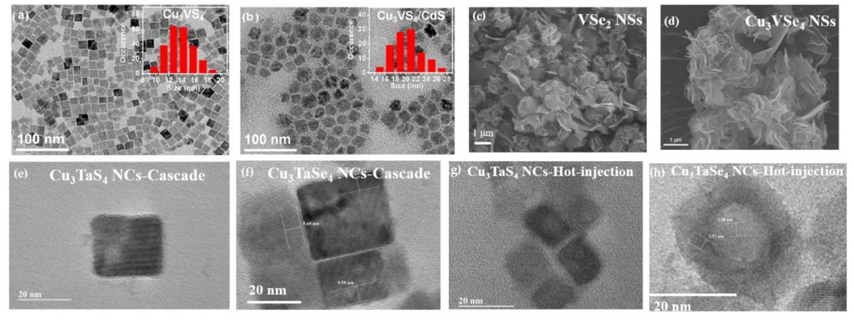 Nanomaterials 11 00823 g007