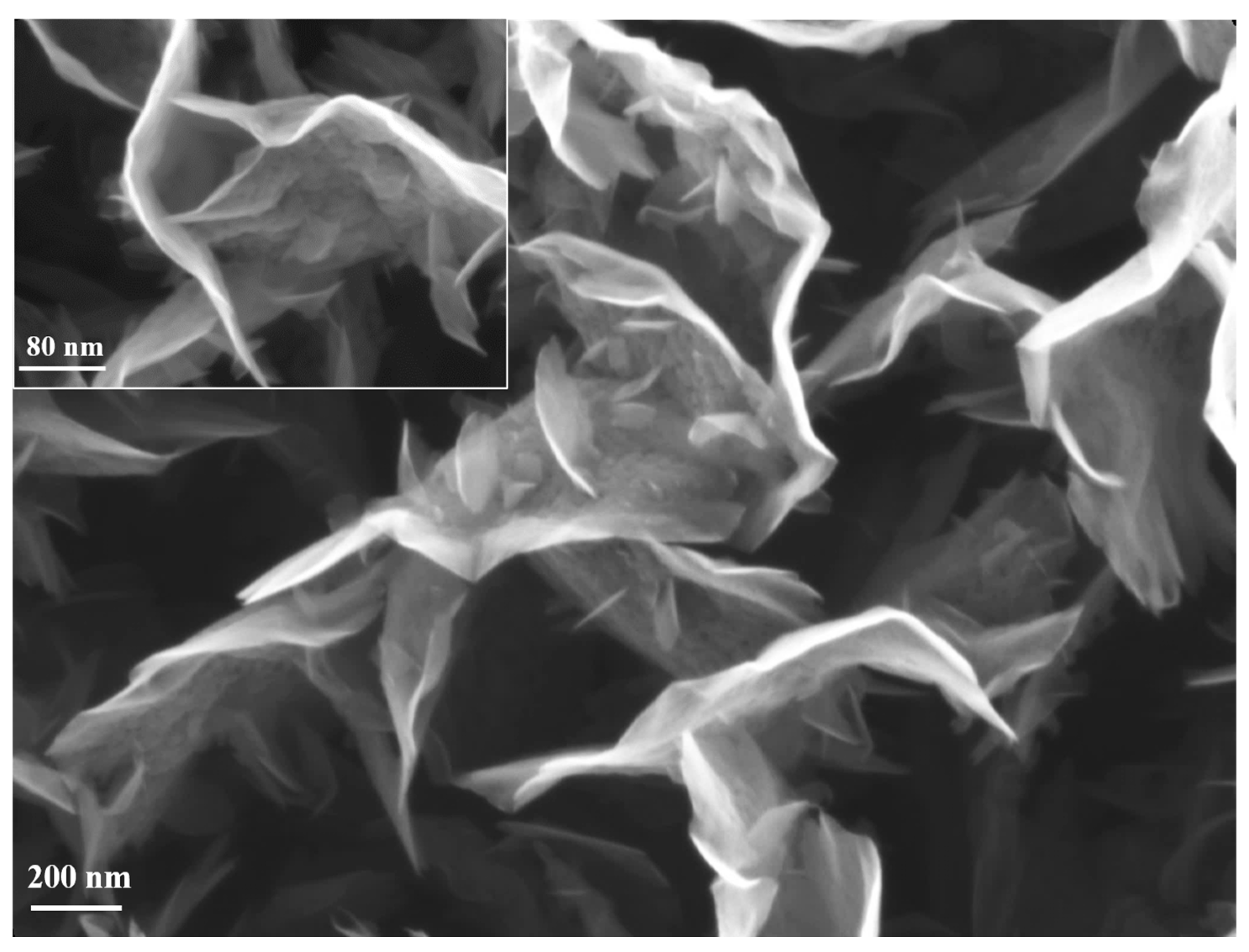 Nanomaterials 11 00835 g006 Nanomaterials 11 00835 g006