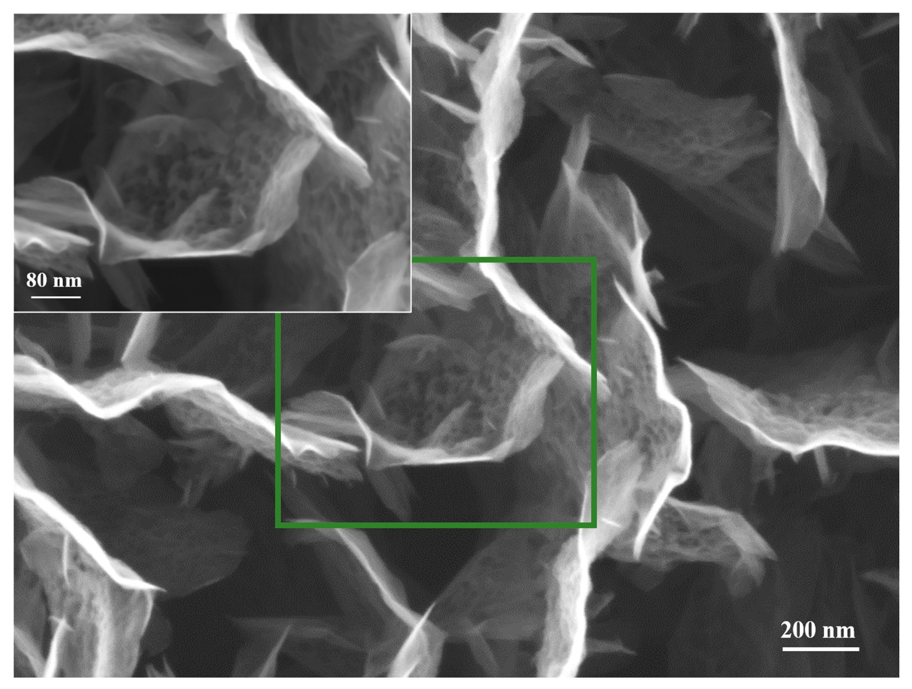 Nanomaterials 11 00835 g007 Nanomaterials 11 00835 g007