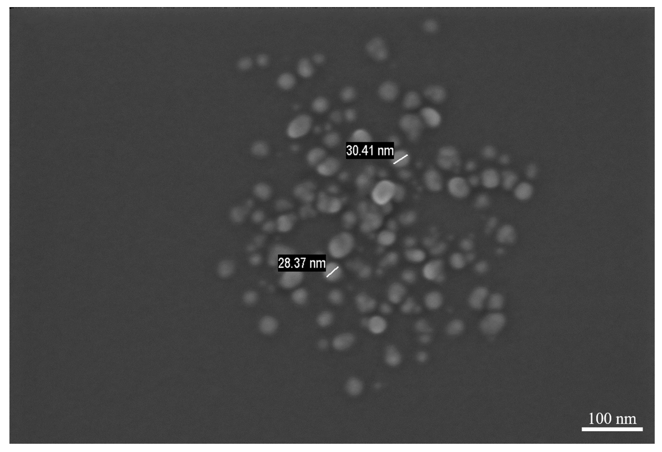 Nanomaterials 11 00835 g011 Nanomaterials 11 00835 g011