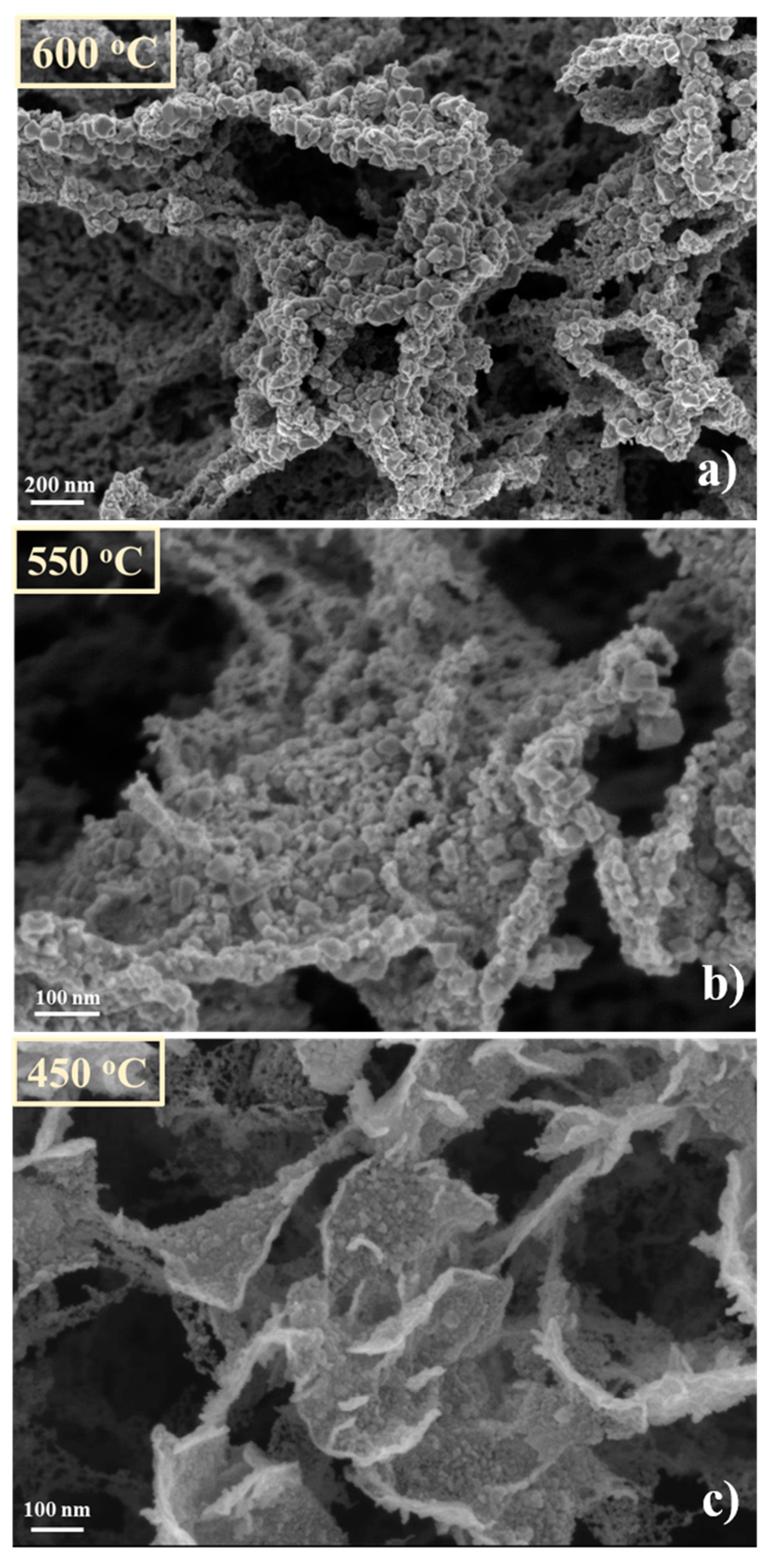 Nanomaterials 11 00835 g014 Nanomaterials 11 00835 g014