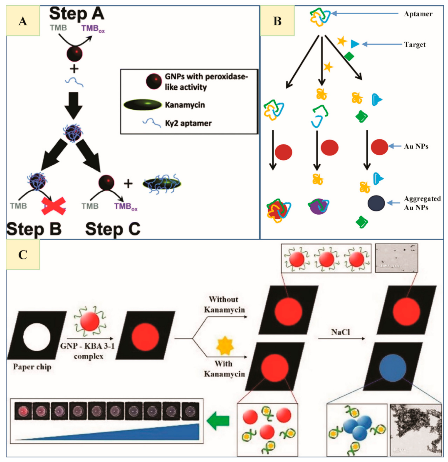 Nanomaterials 11 00840 g002