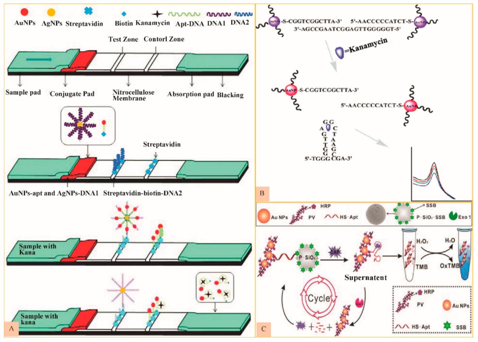 Nanomaterials 11 00840 g003
