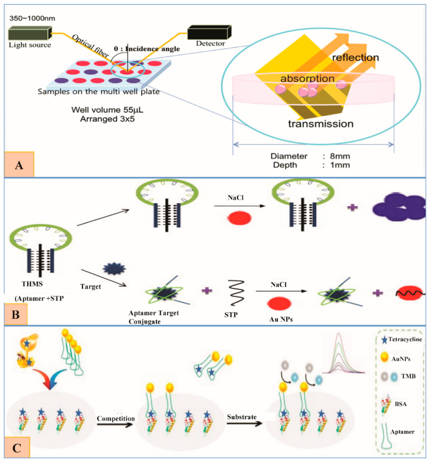 Nanomaterials 11 00840 g006