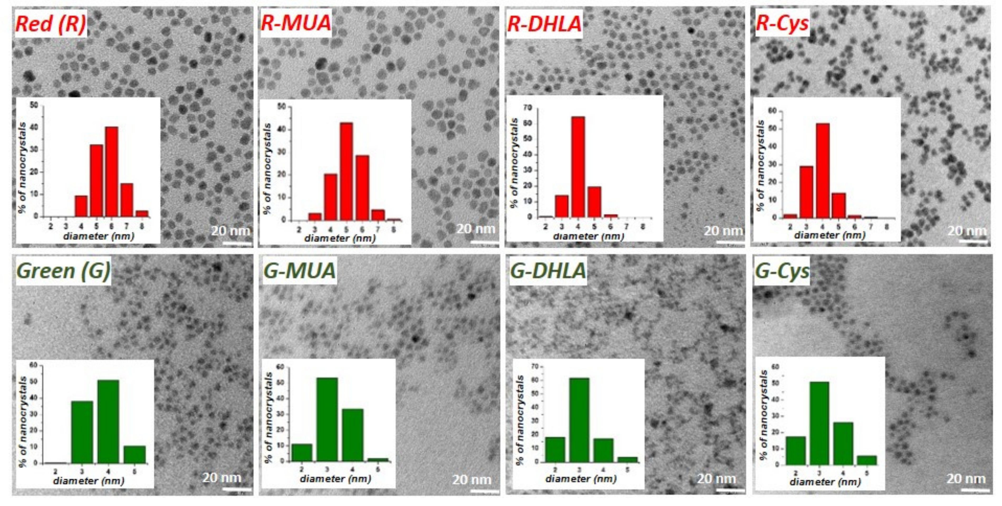 Nanomaterials 11 00843 g001 Nanomaterials 11 00843 g001