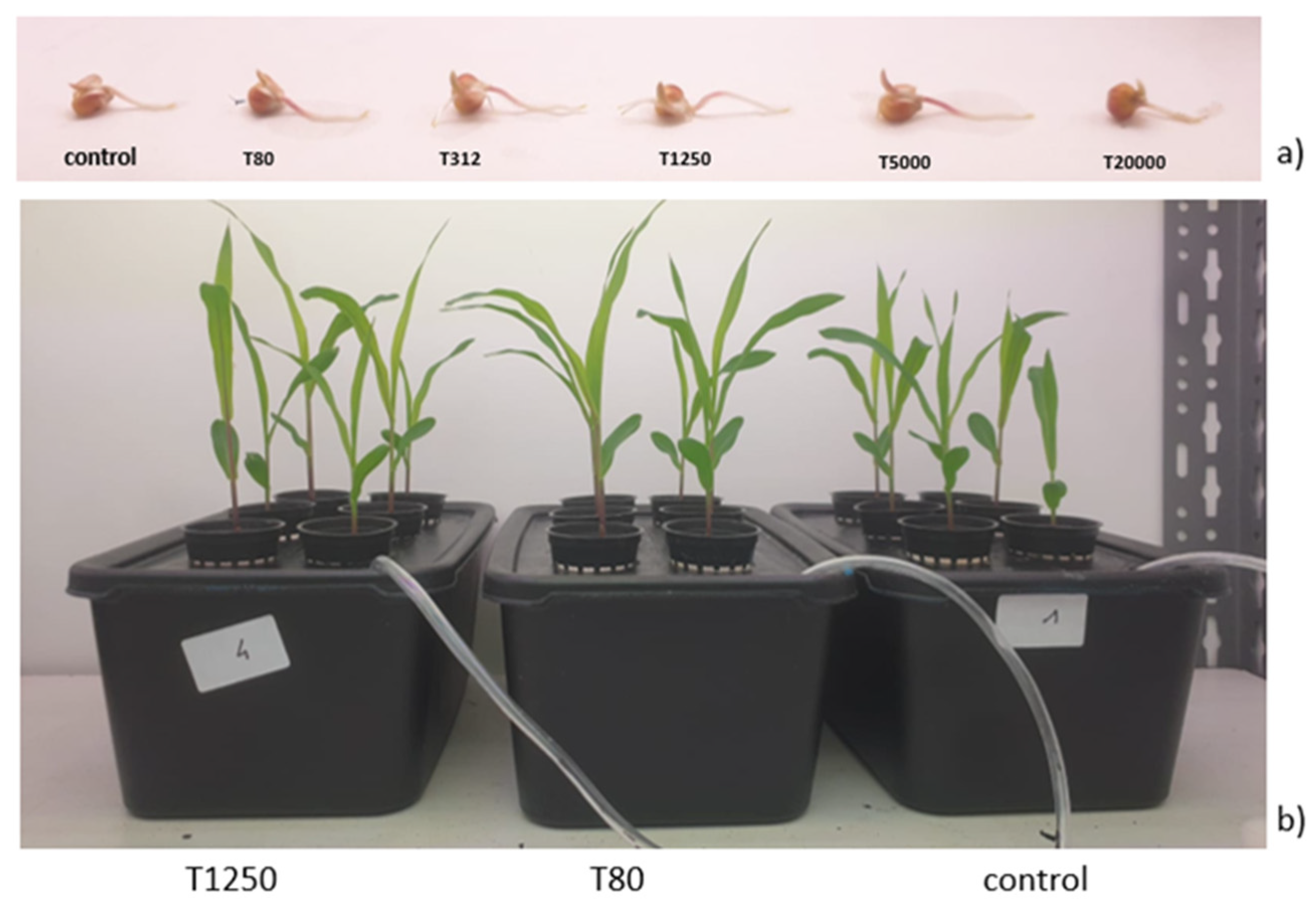 Nanomaterials 11 00846 g002 Nanomaterials 11 00846 g002