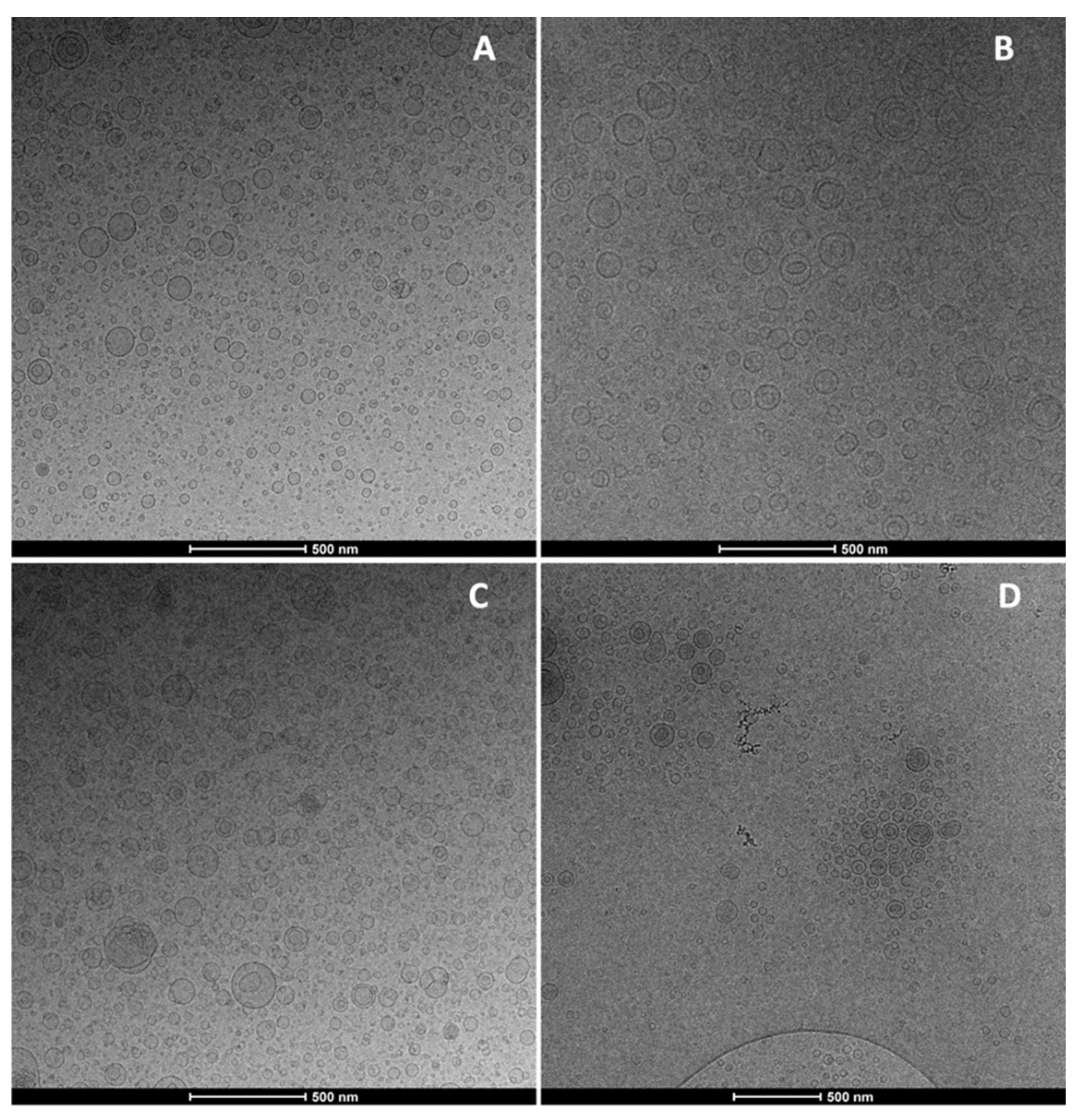 Nanomaterials 11 00850 g001