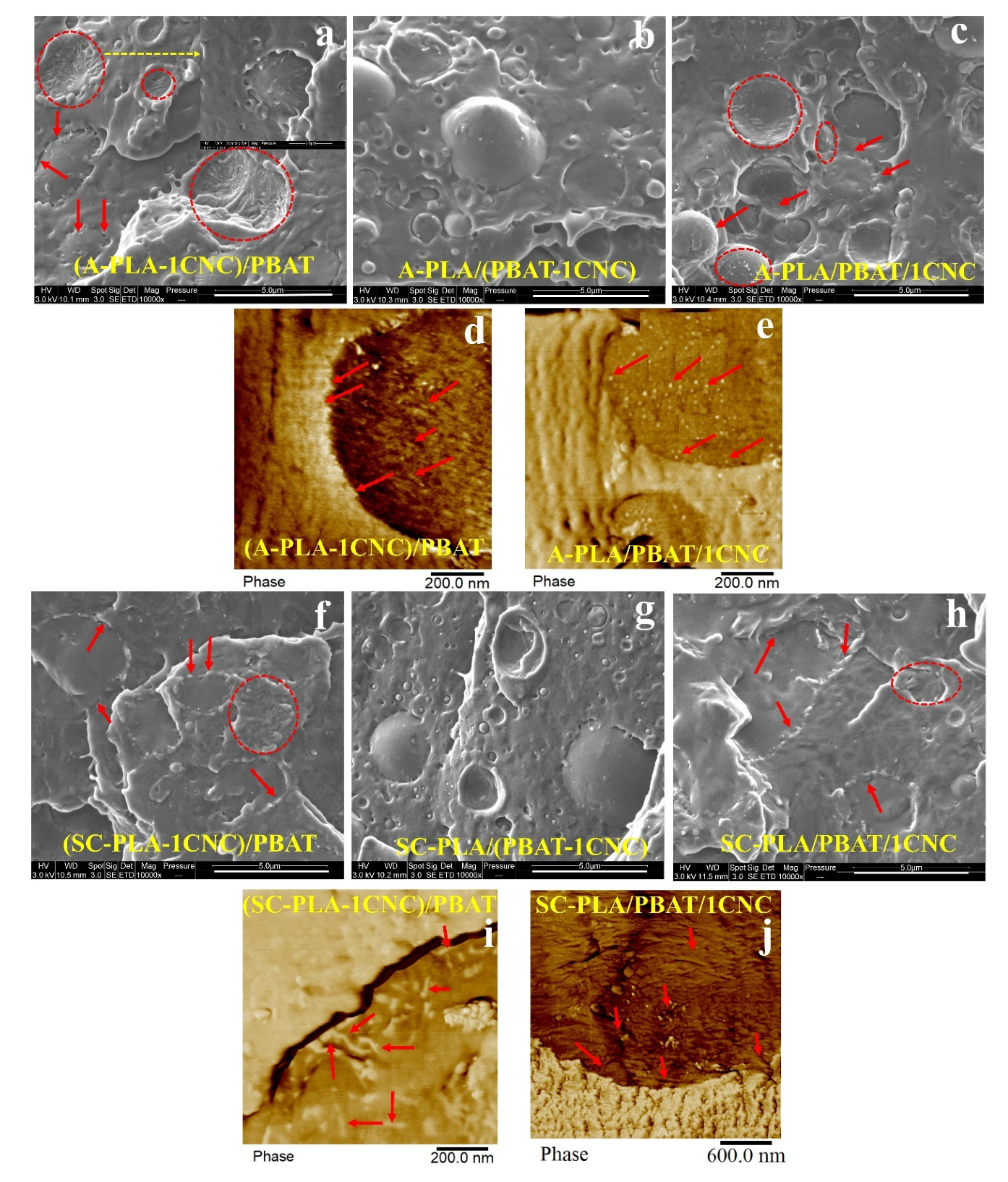 Nanomaterials 11 00857 g007 Nanomaterials 11 00857 g007