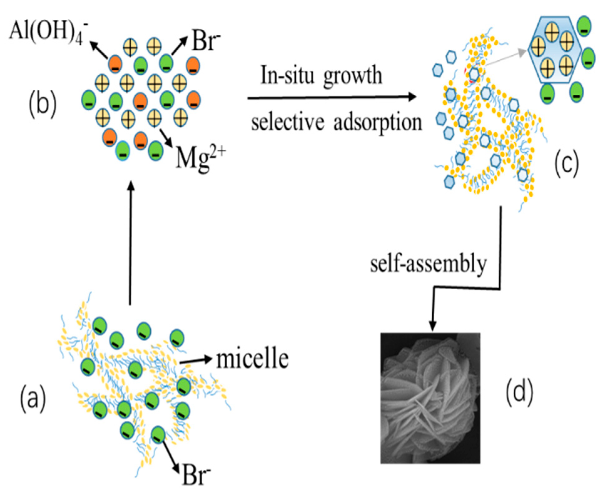 Nanomaterials 11 00861 g003