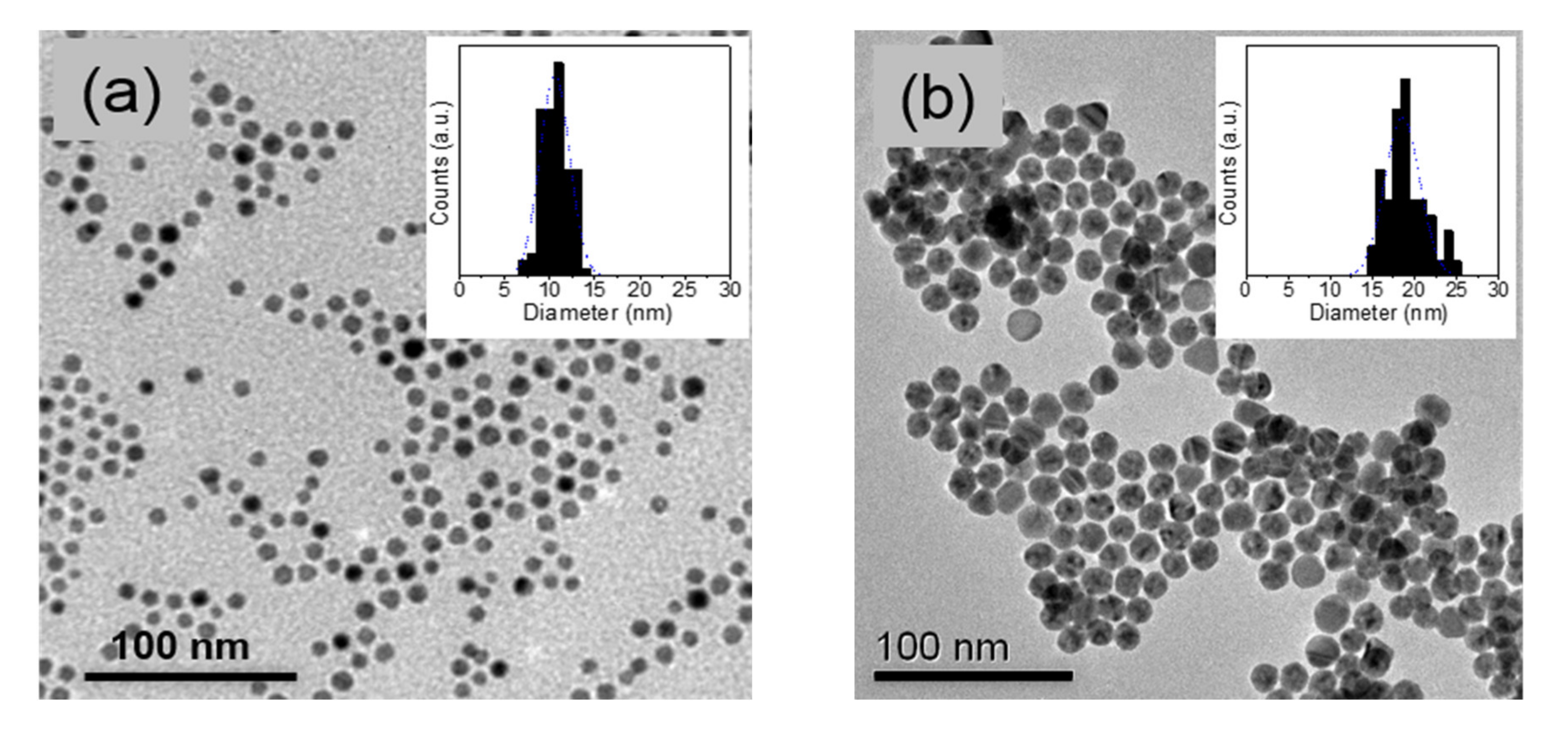 Nanomaterials 11 00870 g001