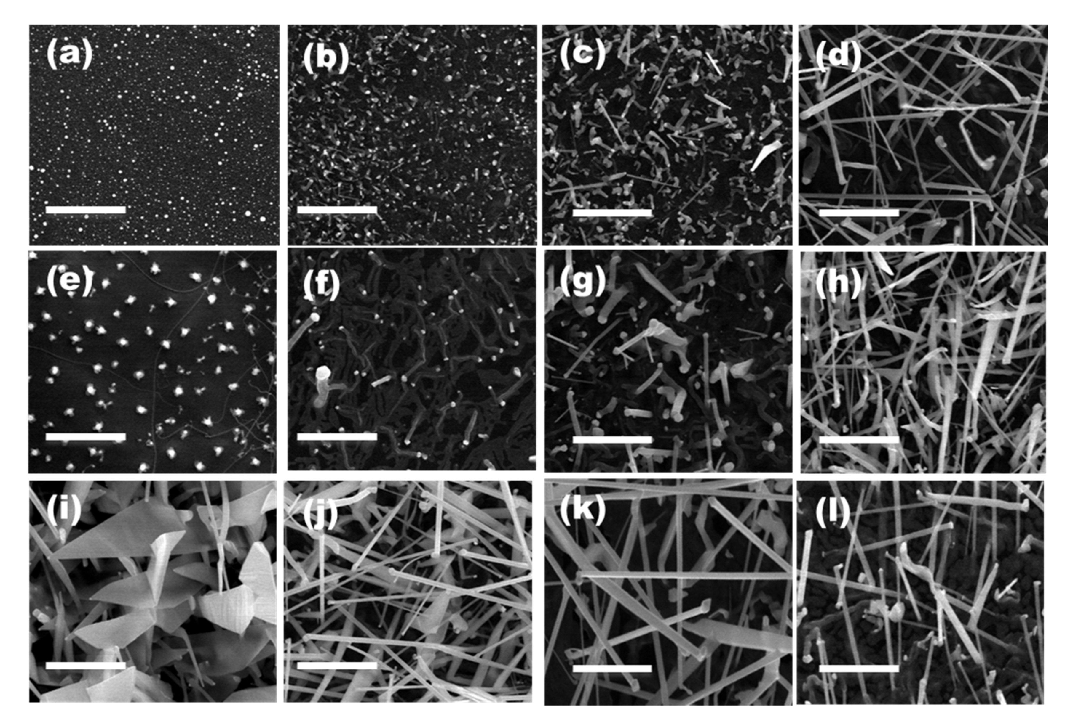 Nanomaterials 11 00870 g002