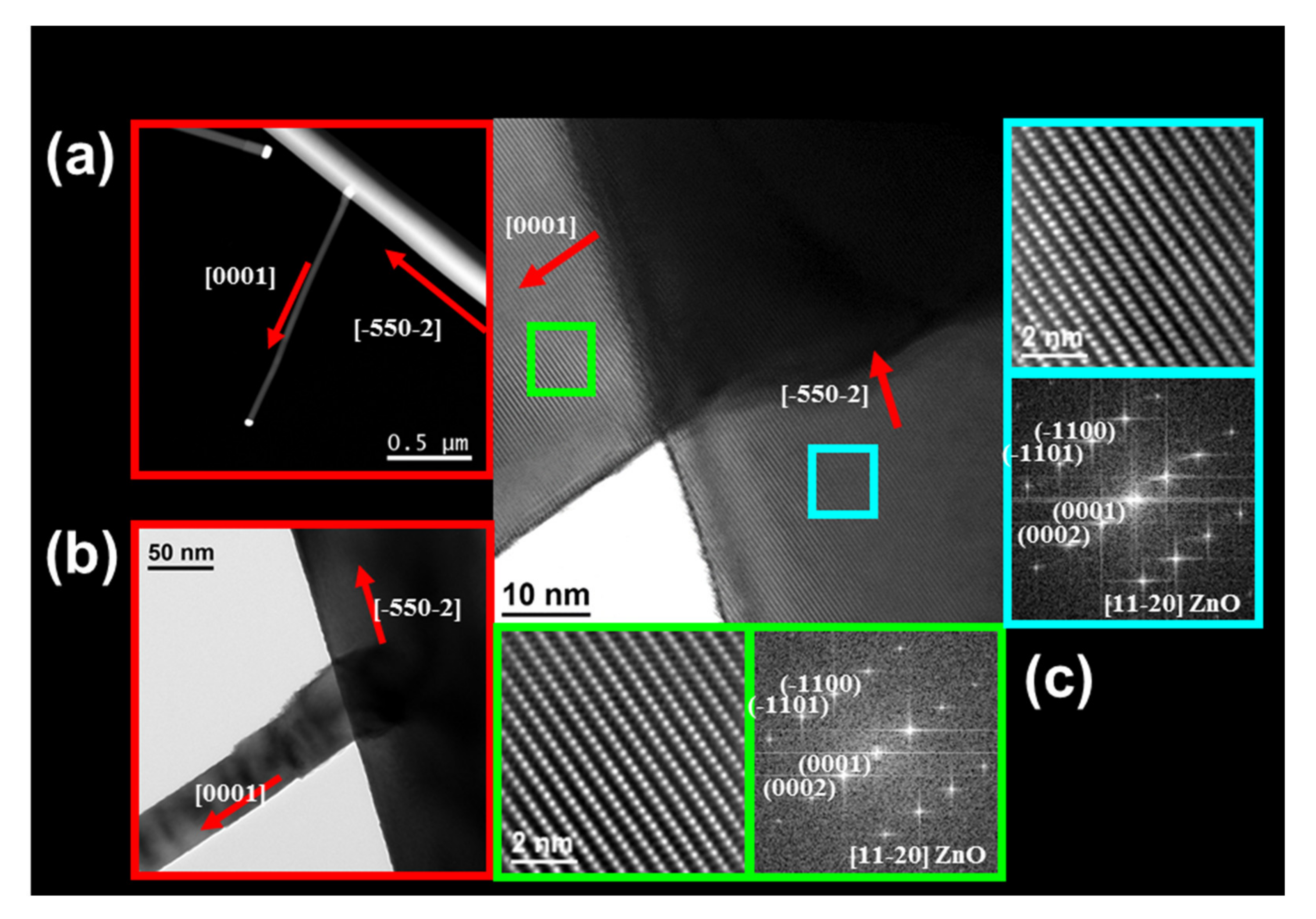 Nanomaterials 11 00870 g010