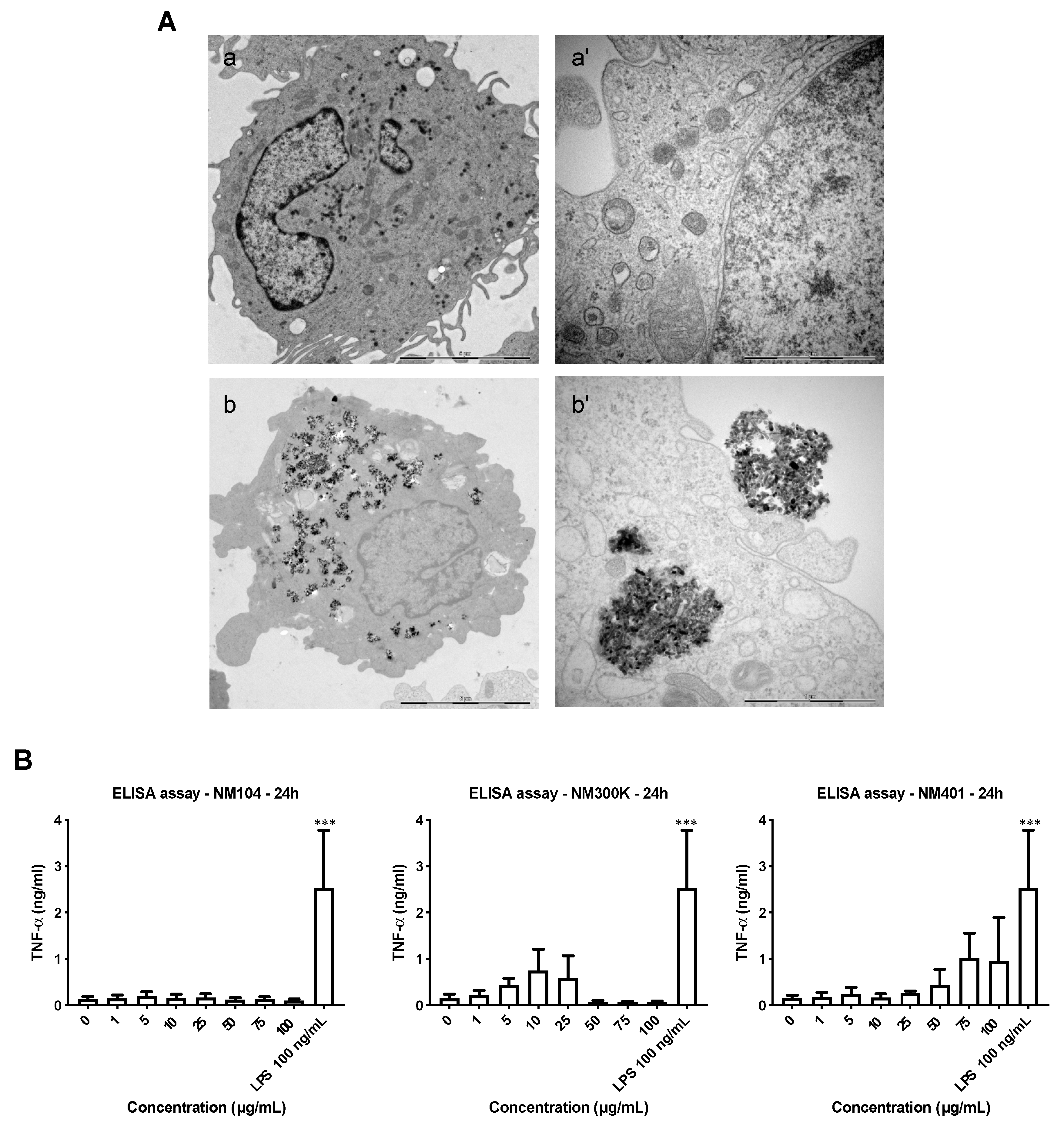 Nanomaterials 11 00883 g002 Nanomaterials 11 00883 g002