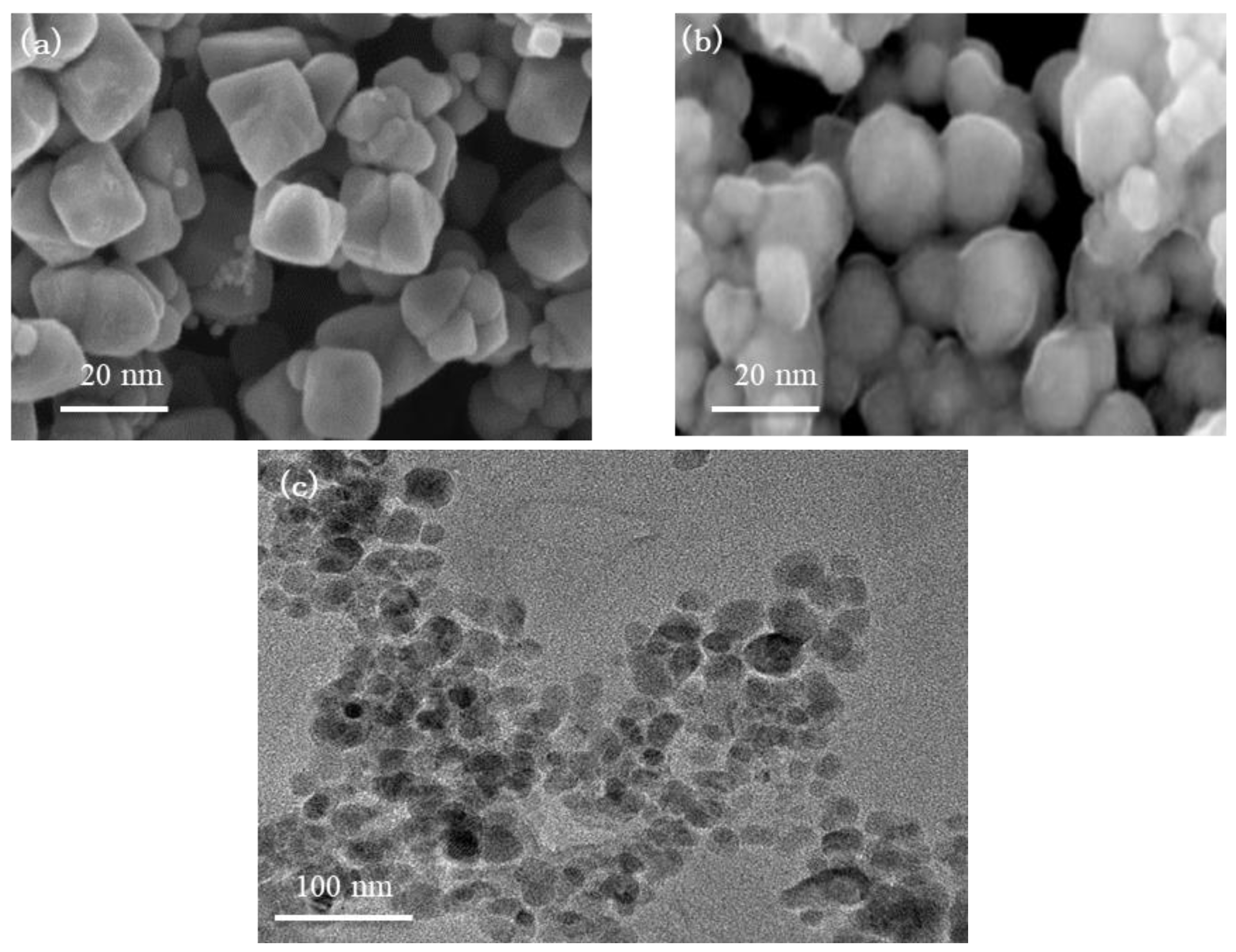 Nanomaterials 11 00885 g003
