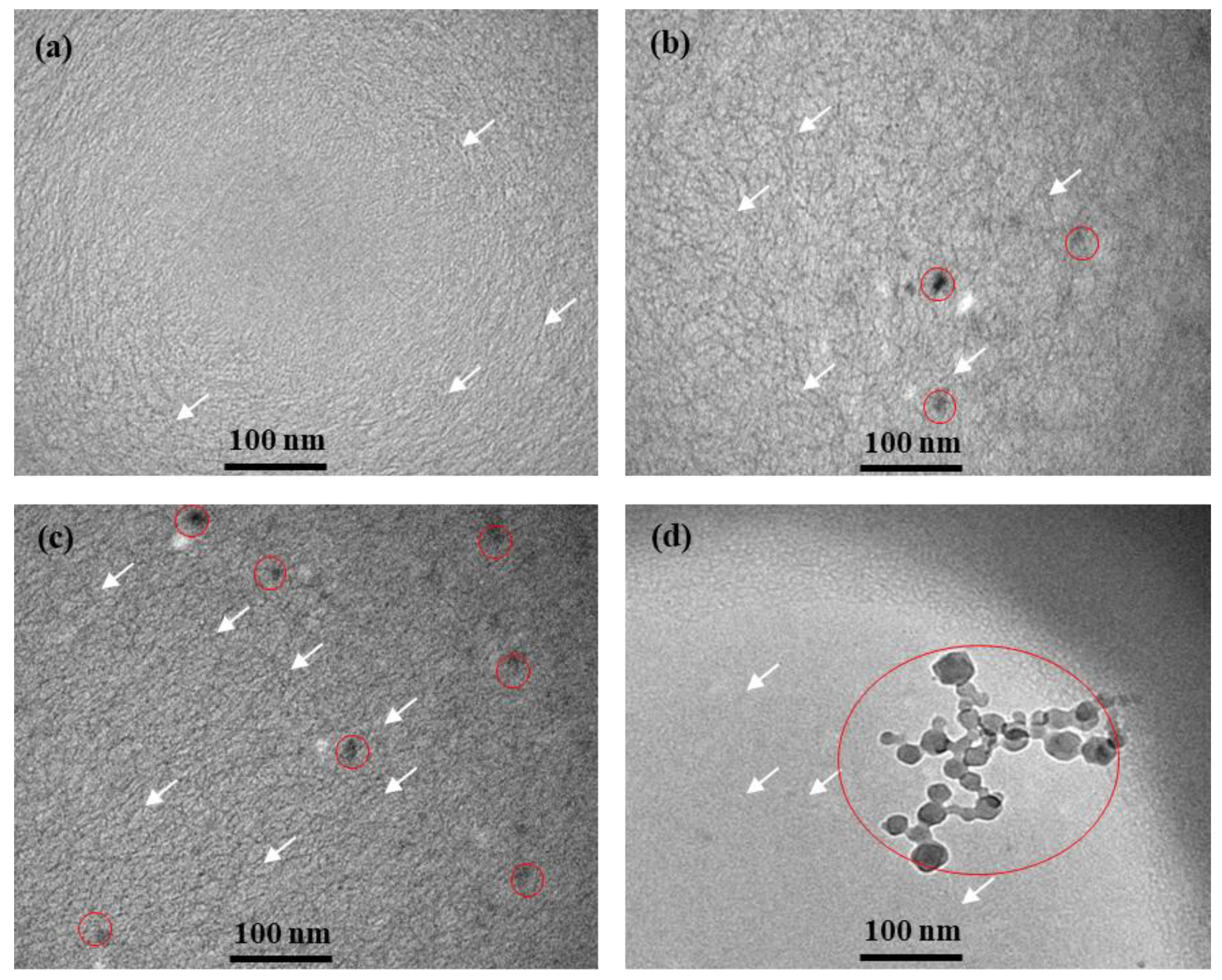 Nanomaterials 11 00885 g005