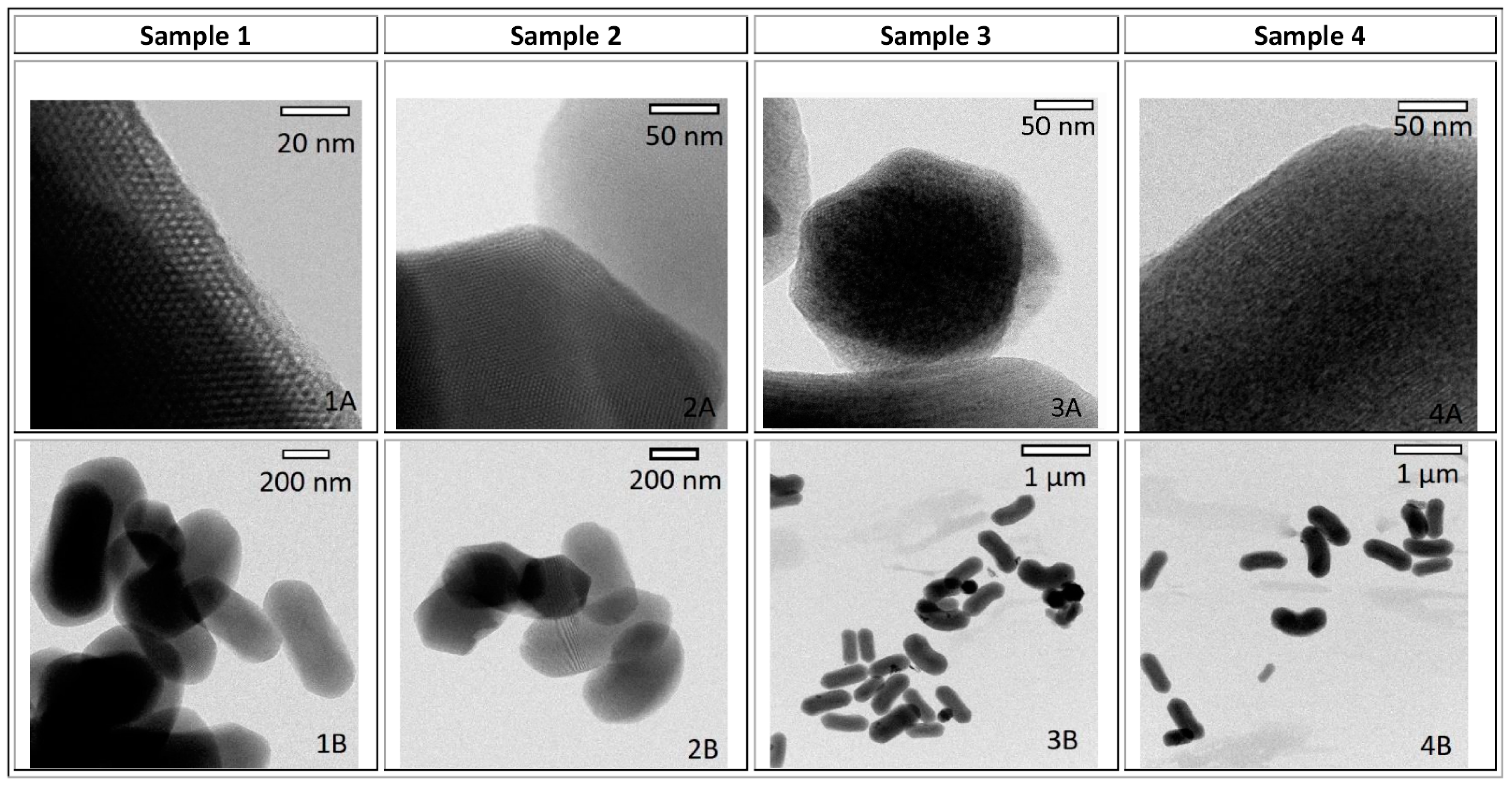 Nanomaterials 11 00901 g001