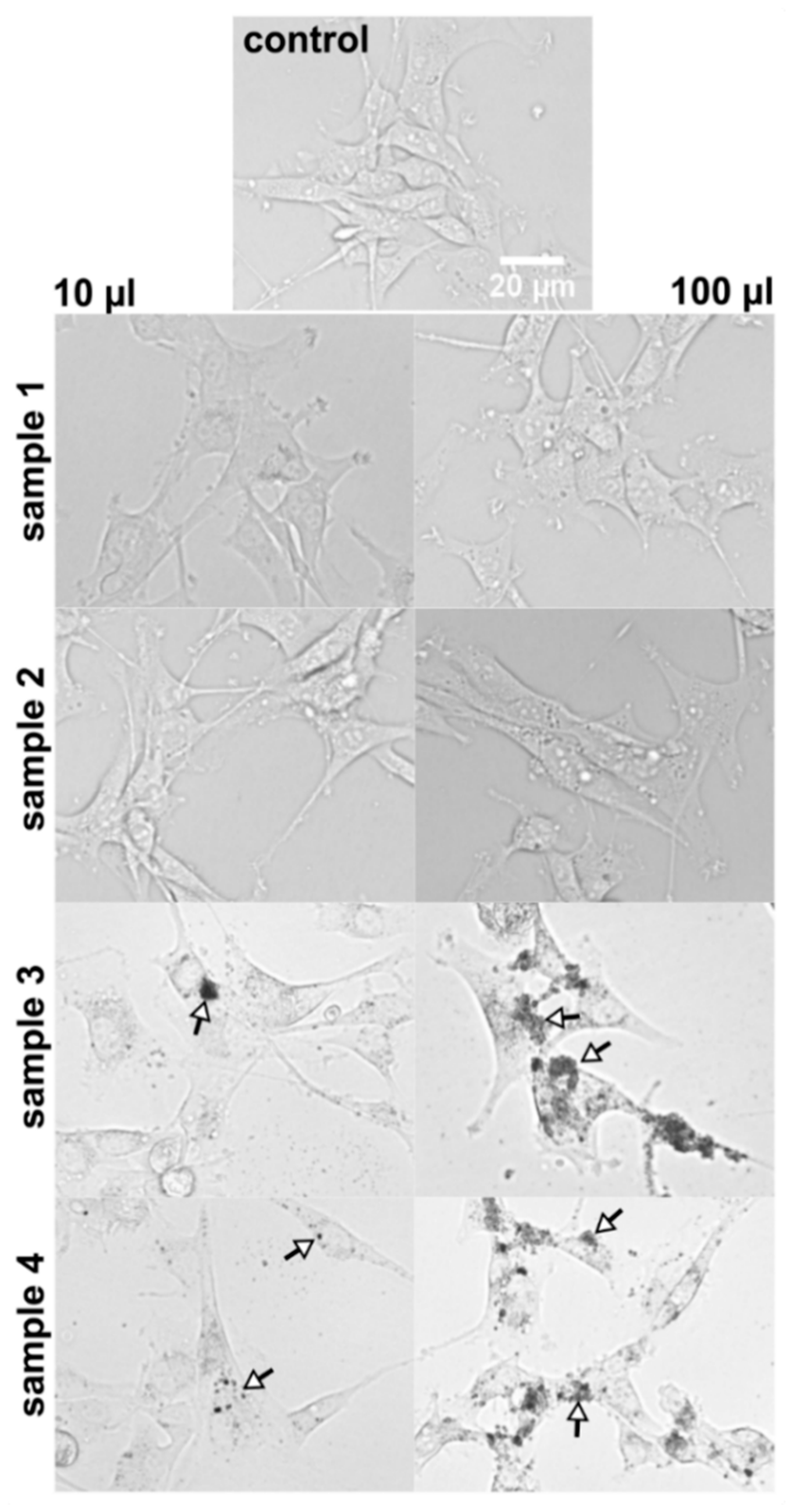 Nanomaterials 11 00901 g009