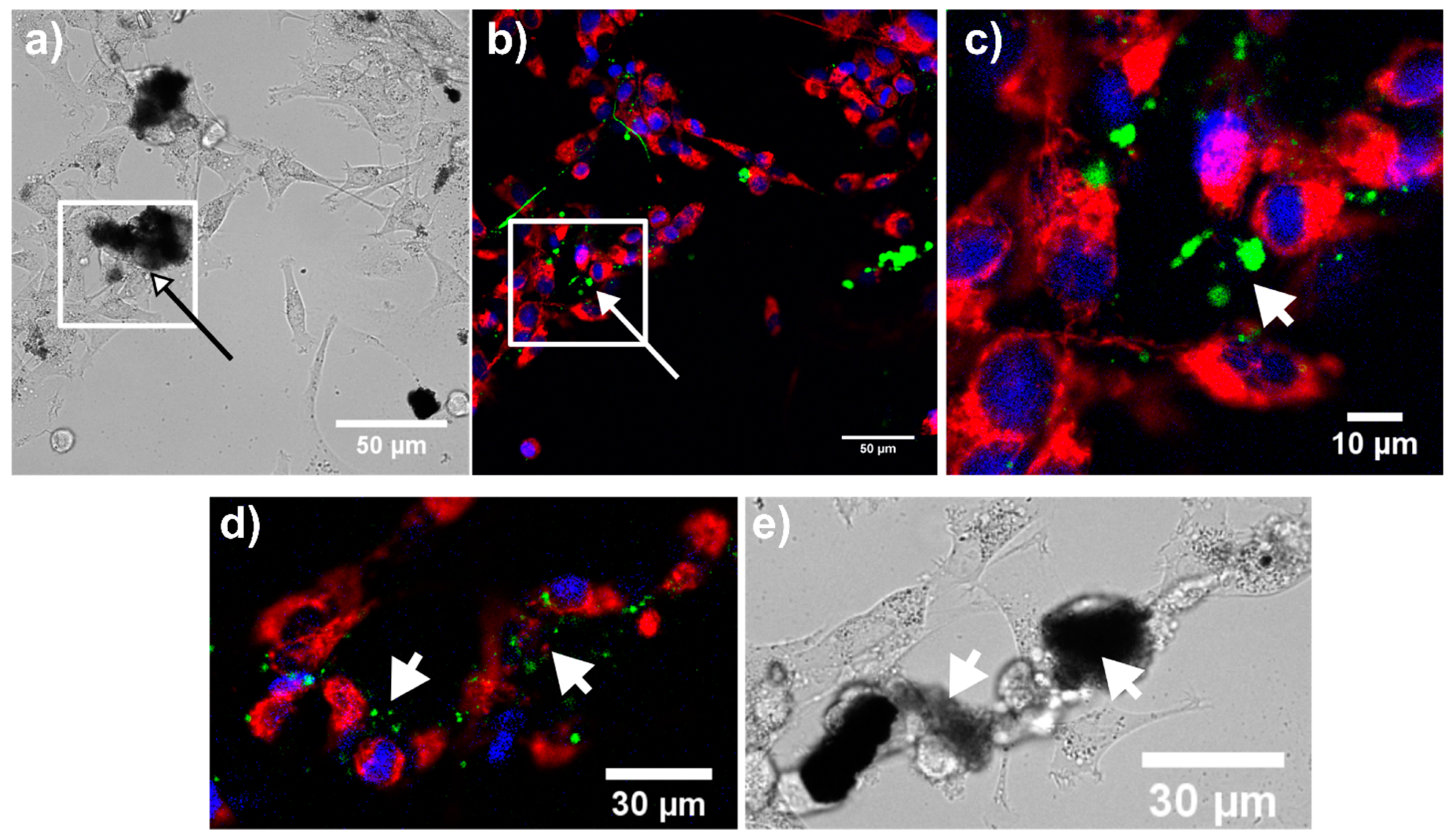 Nanomaterials 11 00901 g011