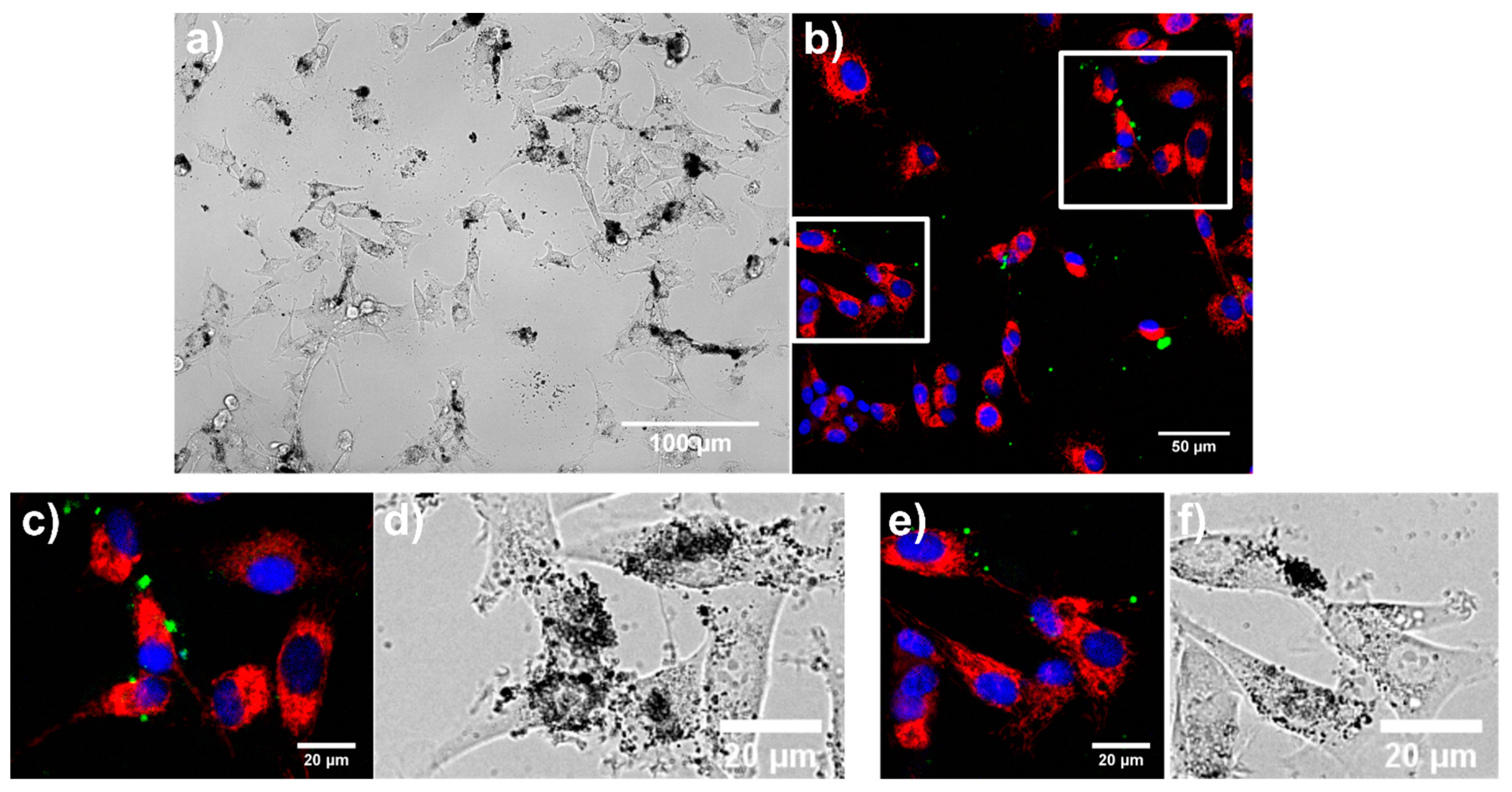 Nanomaterials 11 00901 g012