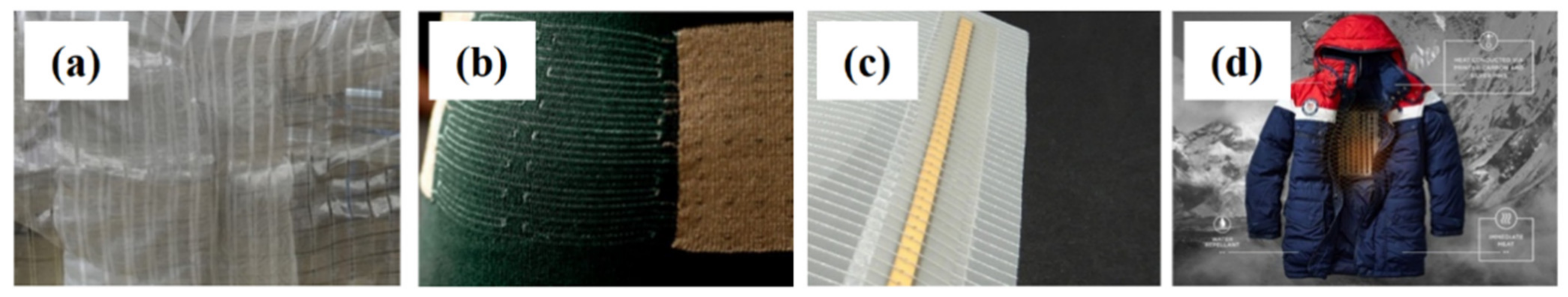 Nanomaterials 11 00904 g001
