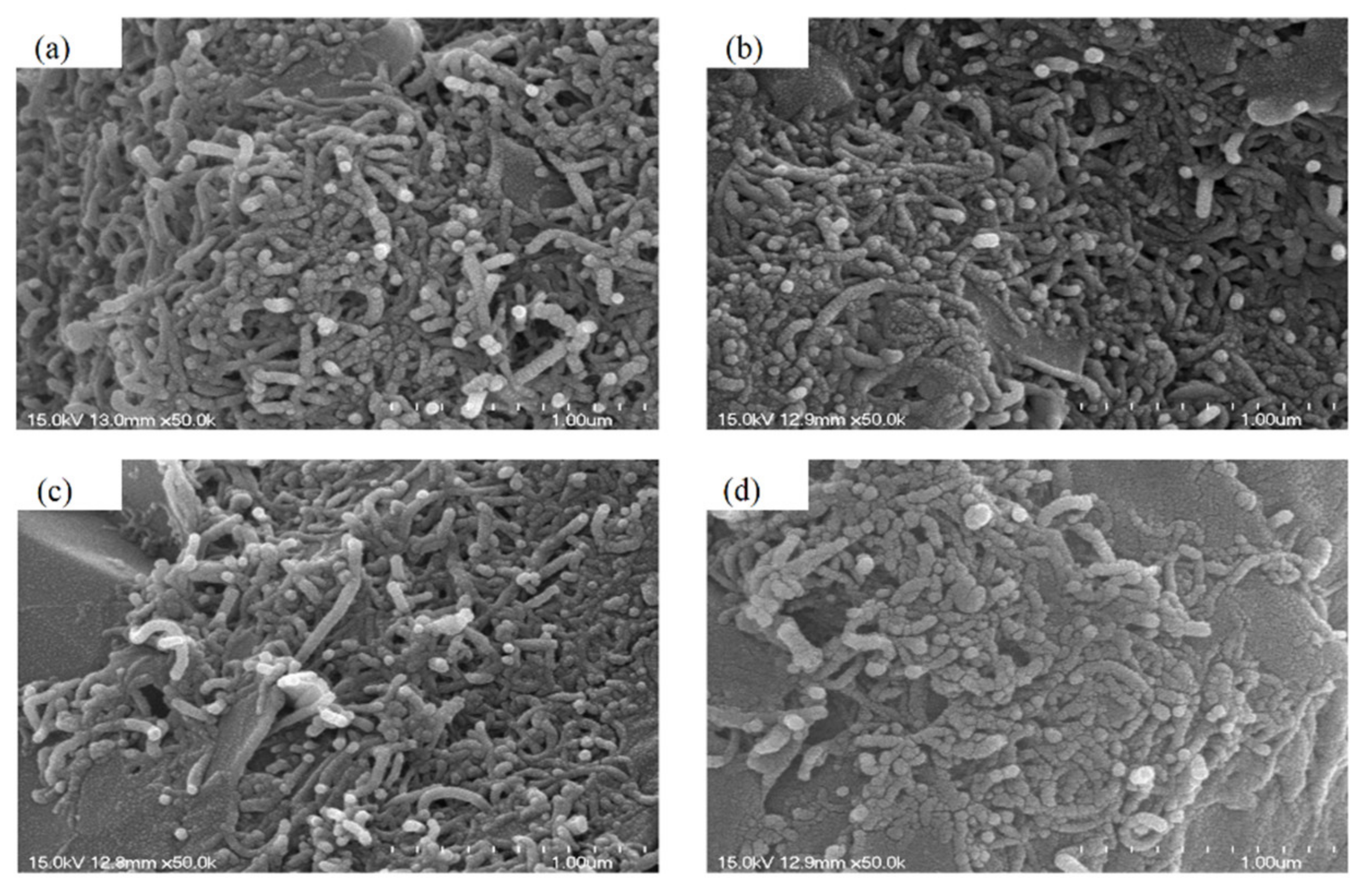 Nanomaterials 11 00904 g015