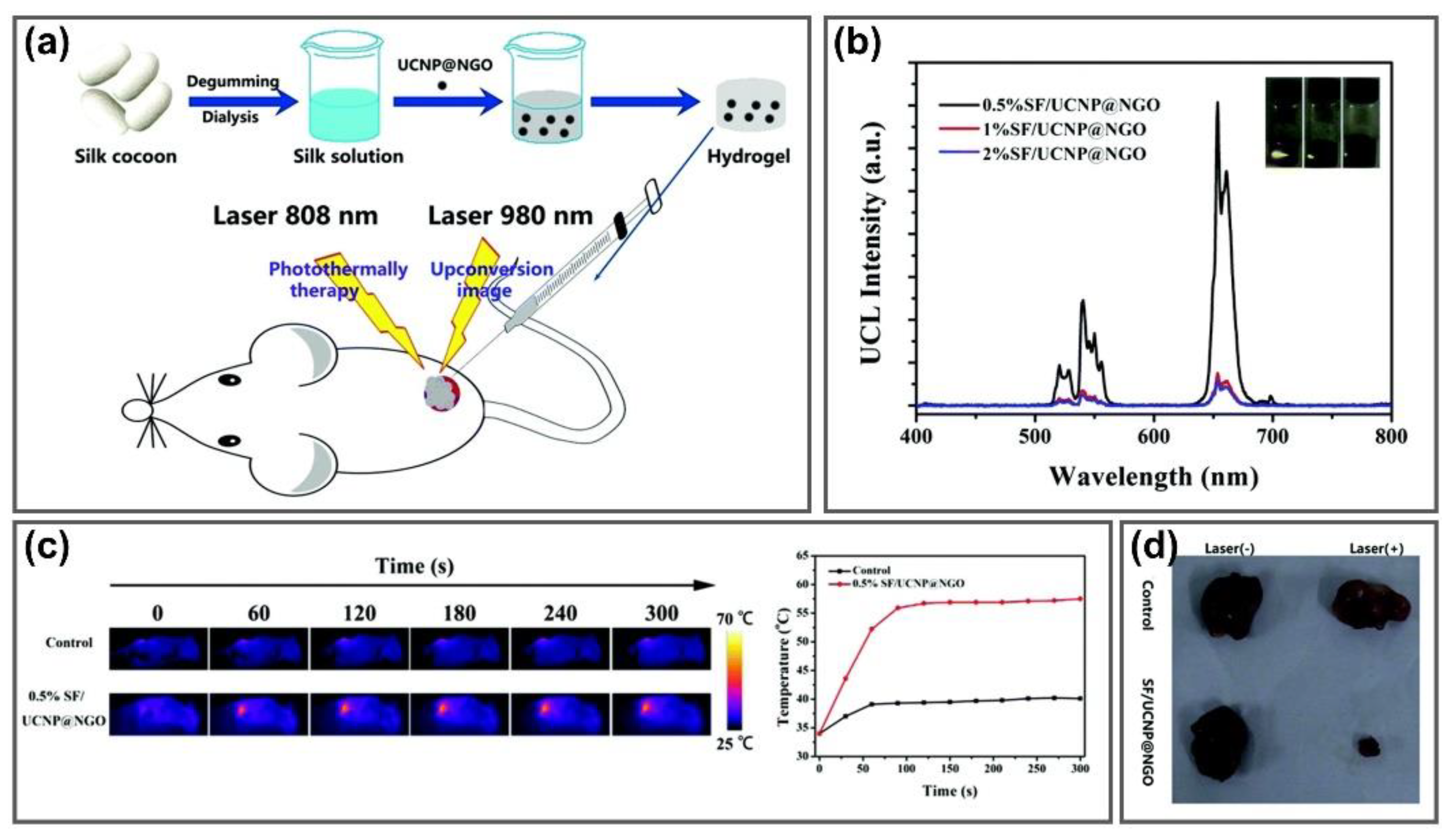 Nanomaterials 11 00906 g005 Nanomaterials 11 00906 g005