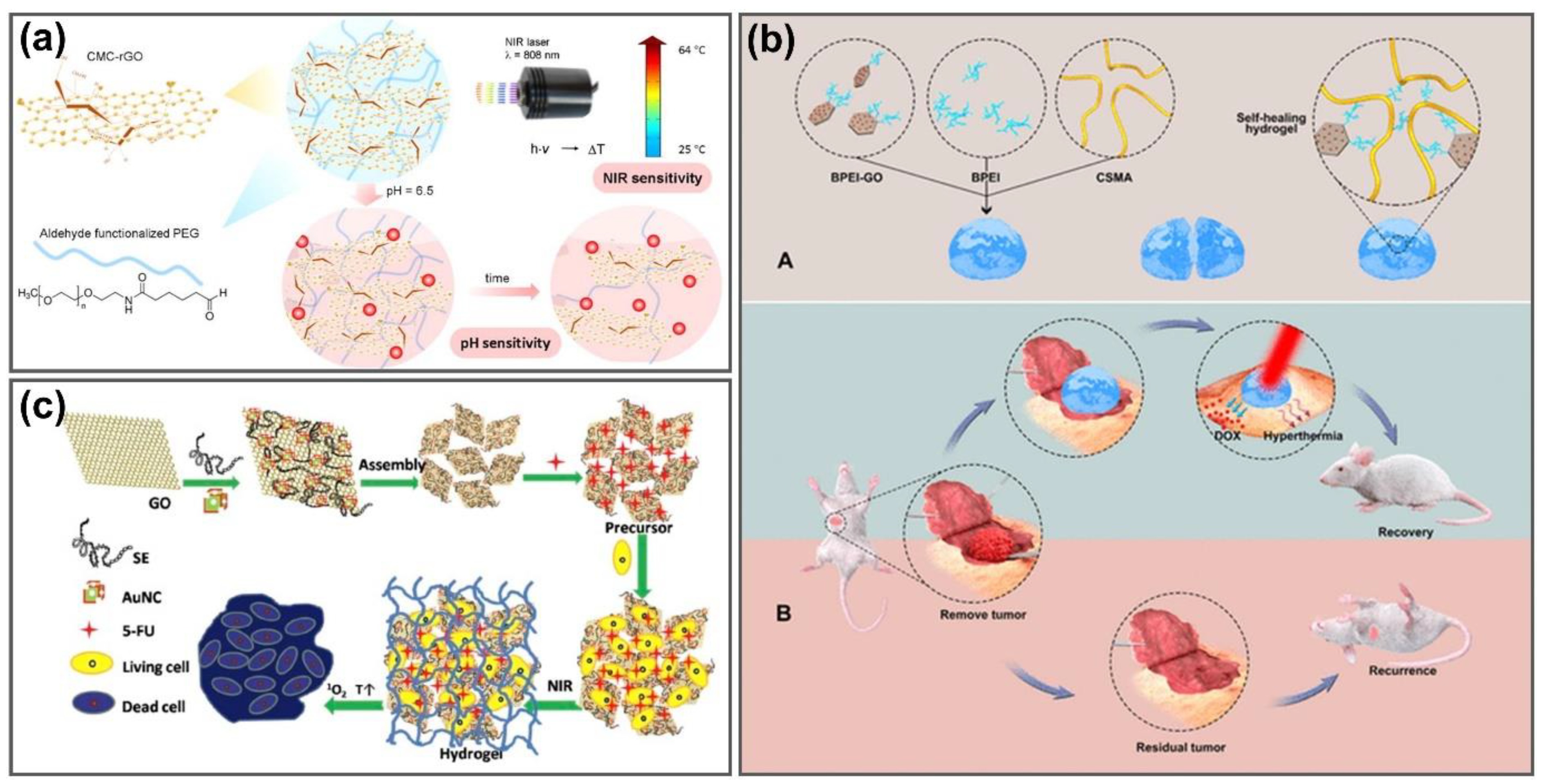 Nanomaterials 11 00906 g007 Nanomaterials 11 00906 g007
