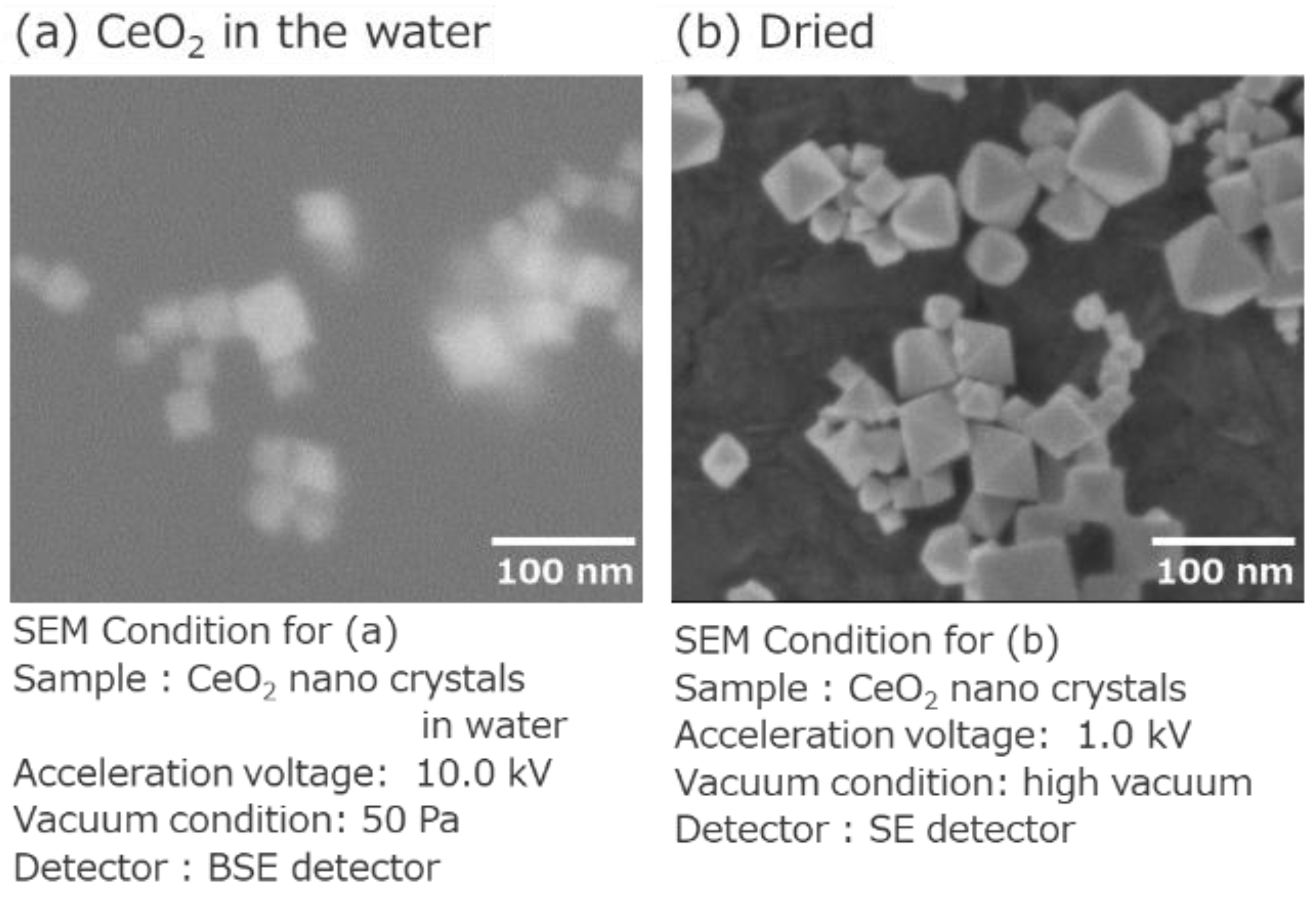 Nanomaterials 11 00908 g008 Nanomaterials 11 00908 g008