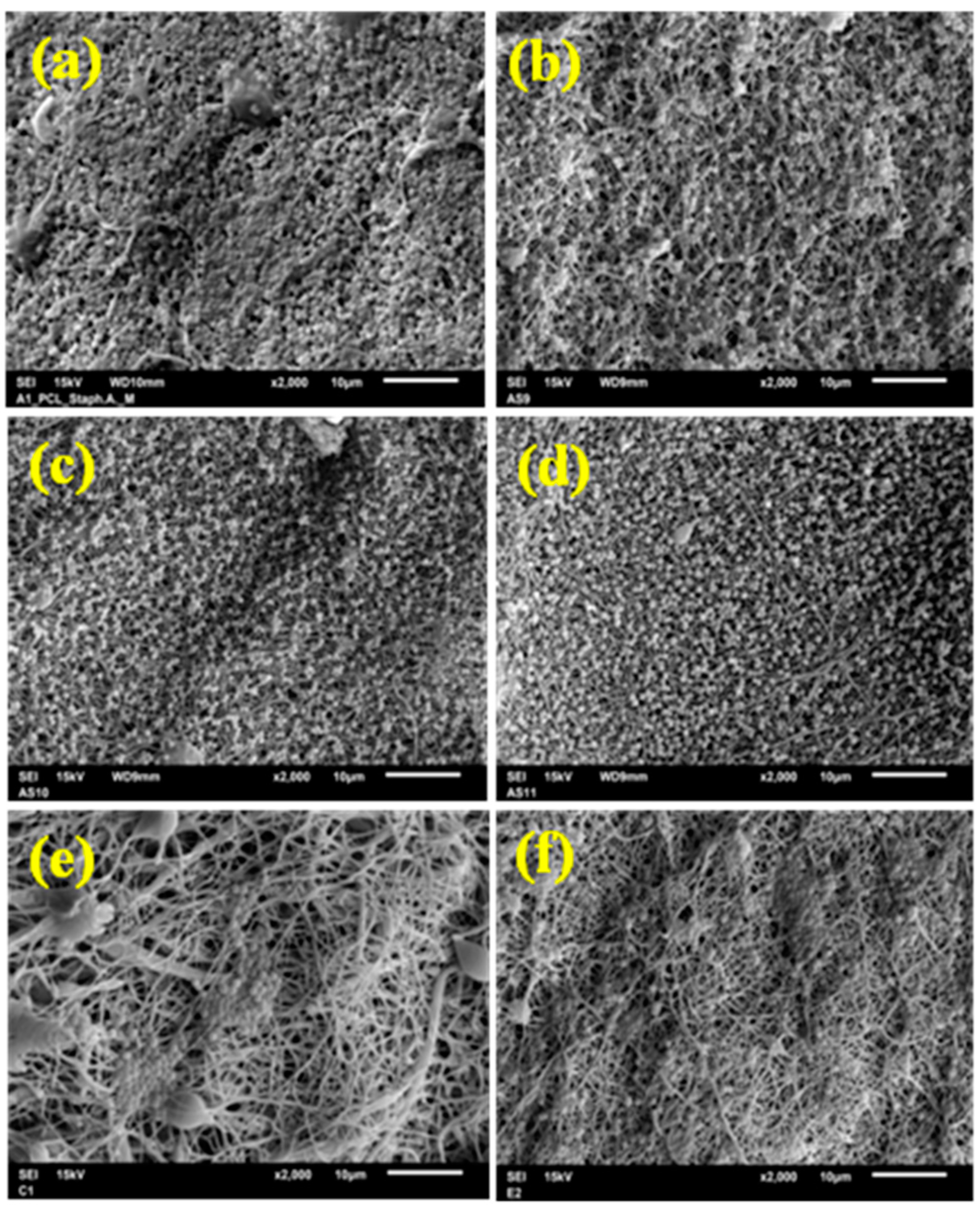 Nanomaterials 11 00922 g008 Nanomaterials 11 00922 g008