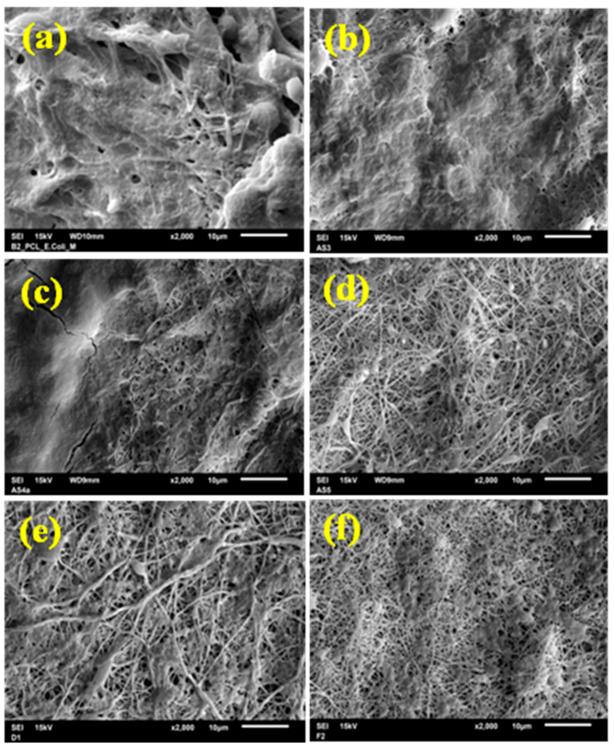 Nanomaterials 11 00922 g009 Nanomaterials 11 00922 g009