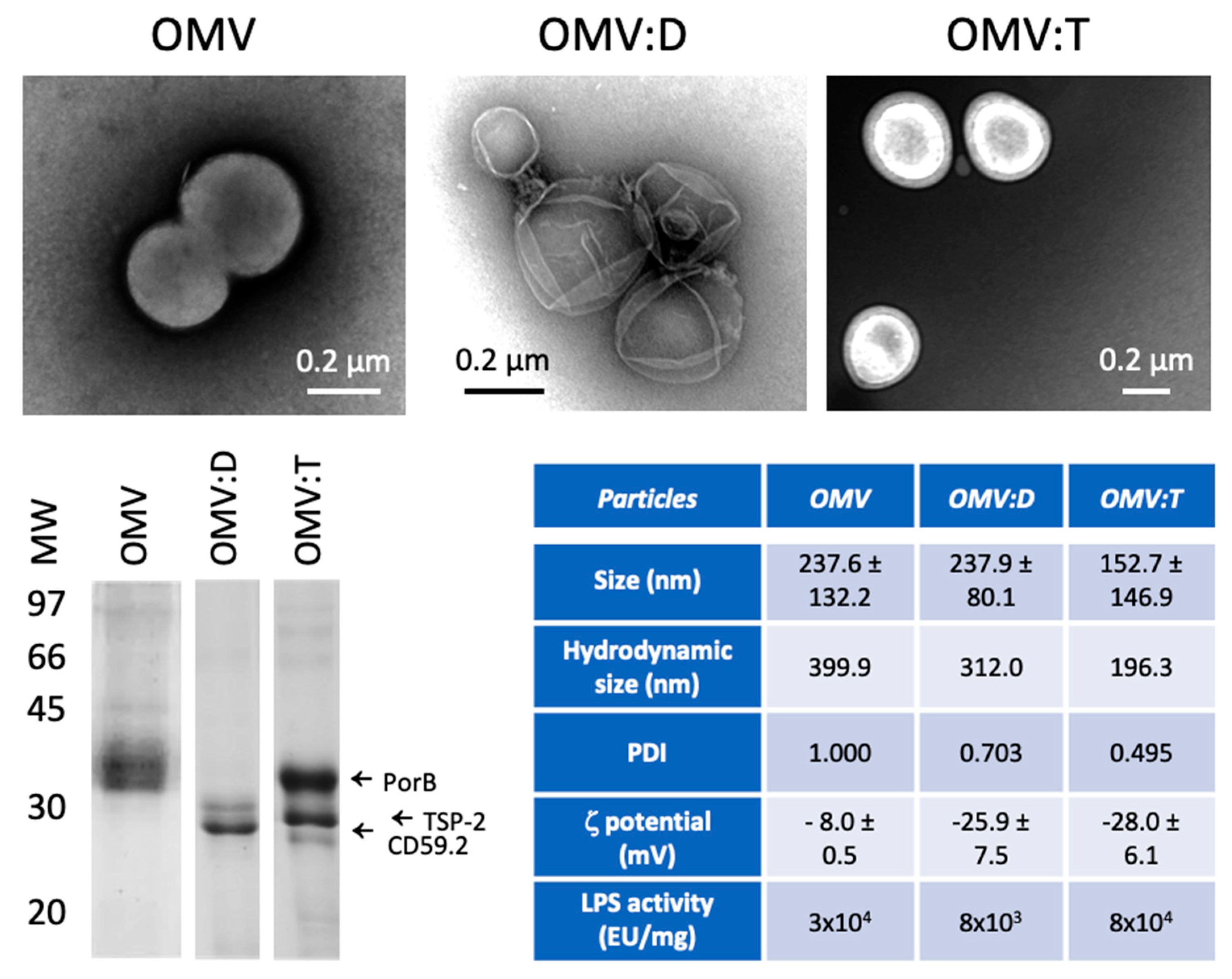 Nanomaterials 11 00931 g001 Nanomaterials 11 00931 g001