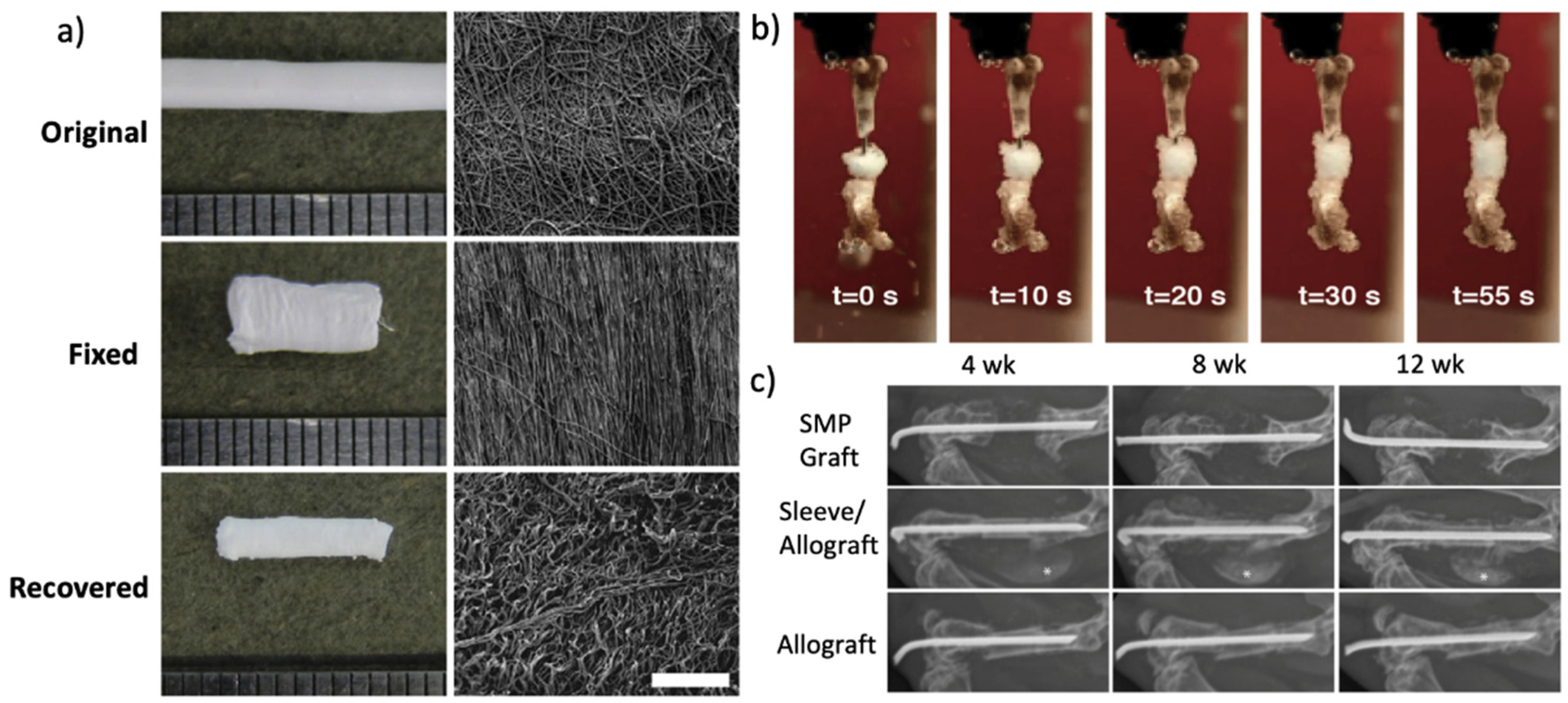 Nanomaterials 11 00933 g006