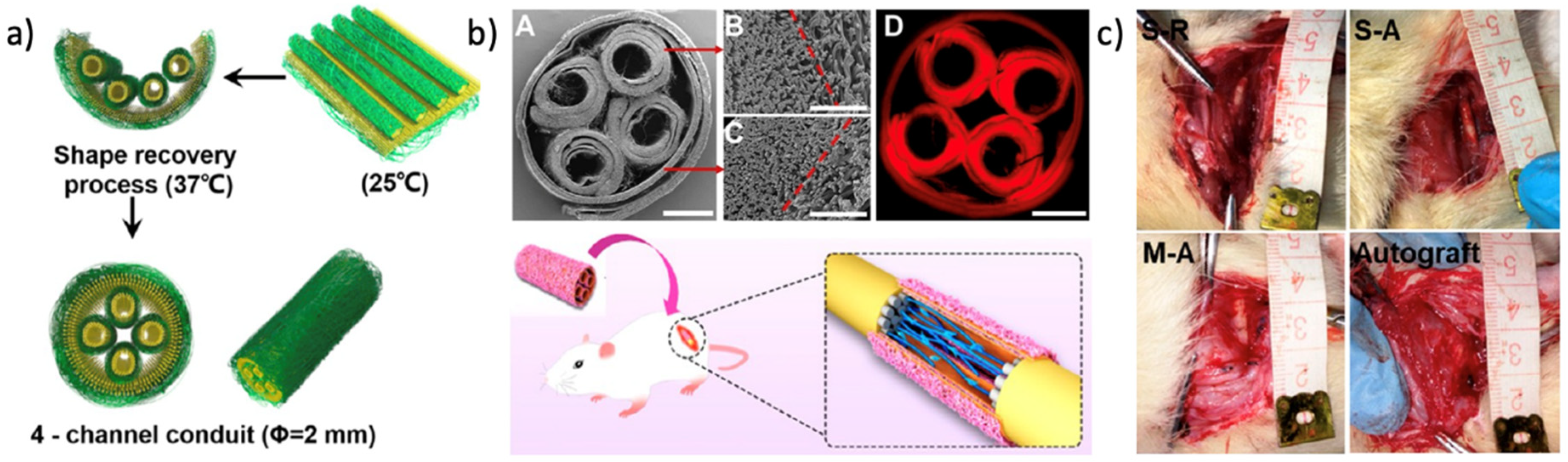 Nanomaterials 11 00933 g007